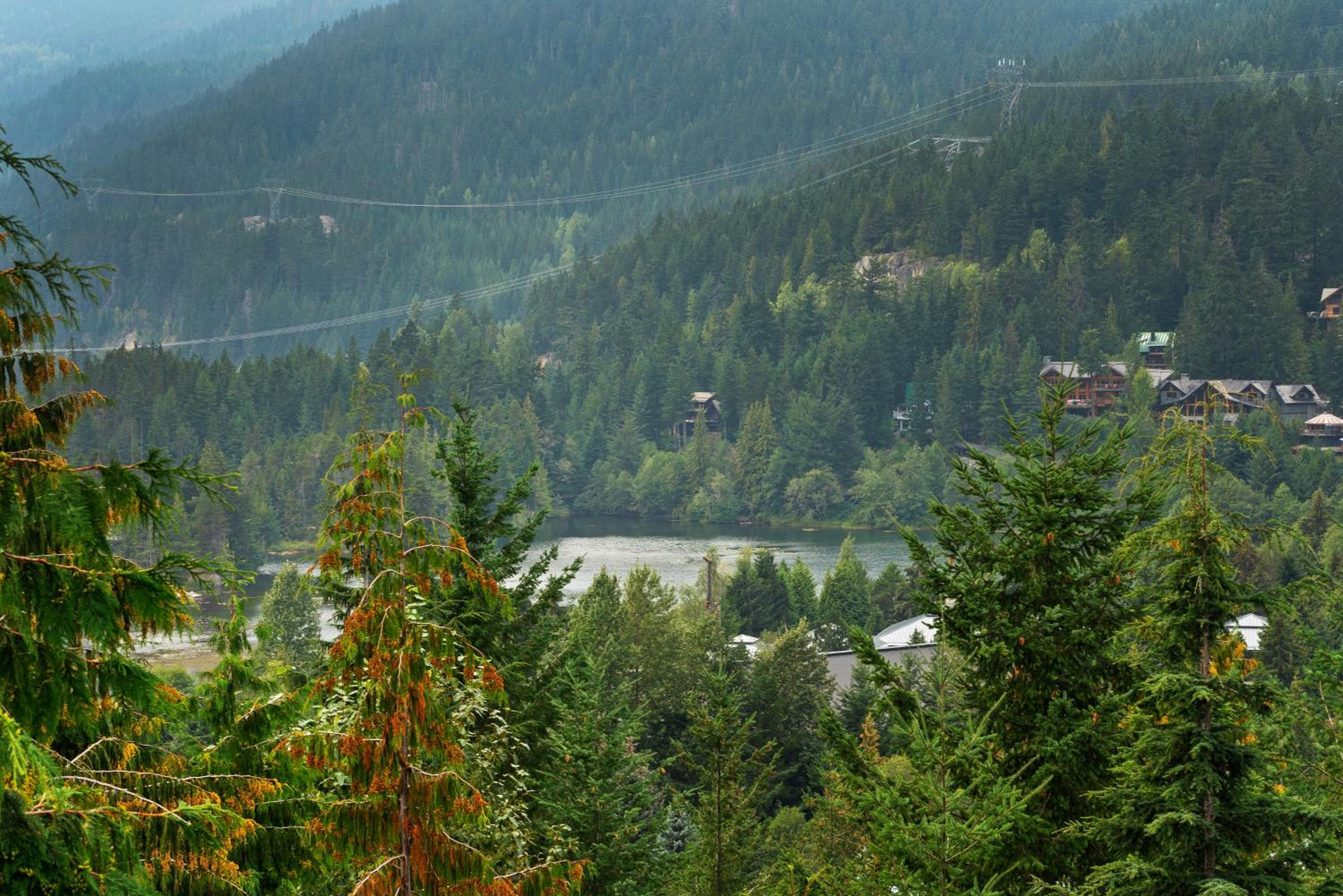 Whistler 'Treehouse'