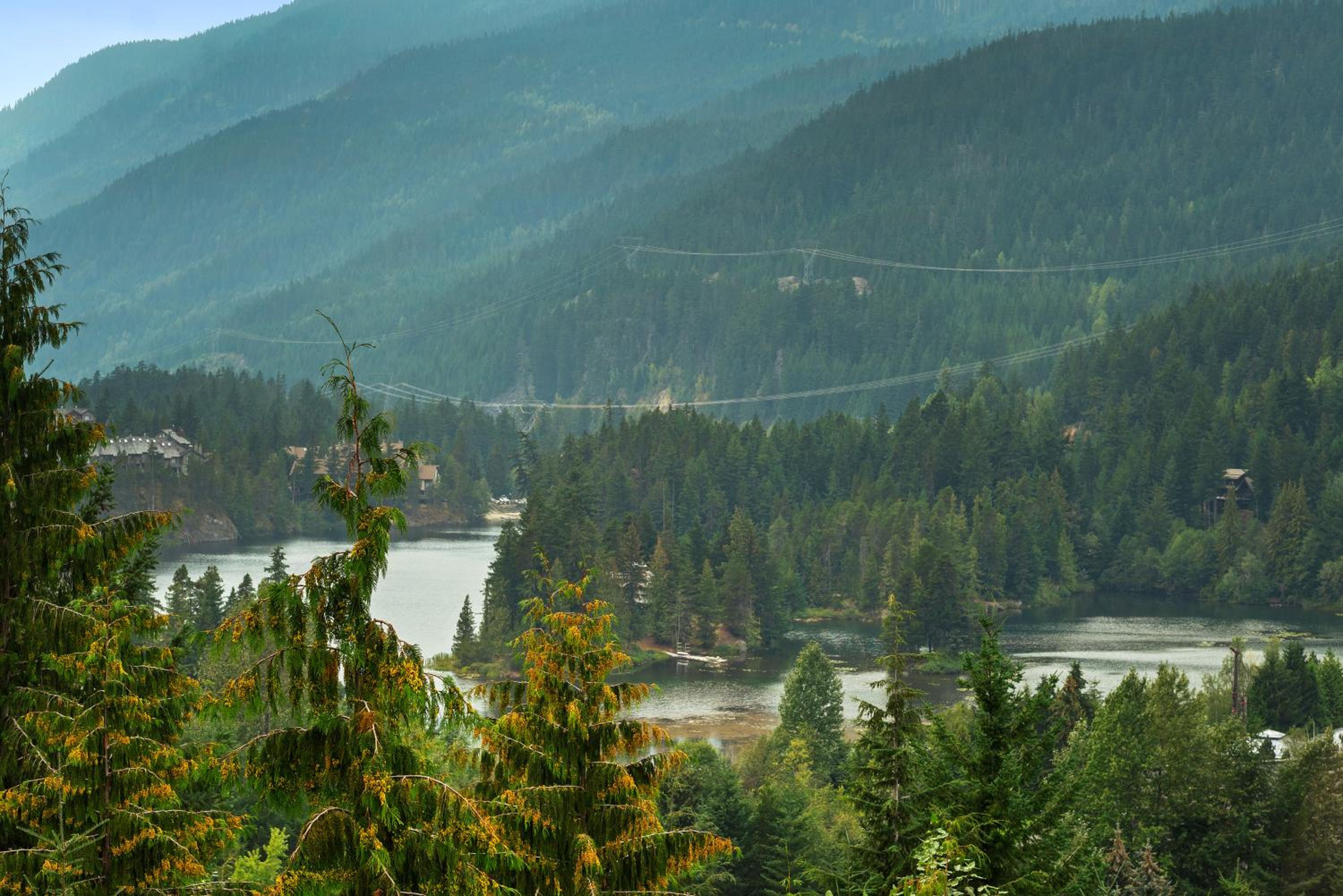 Whistler 'Treehouse'