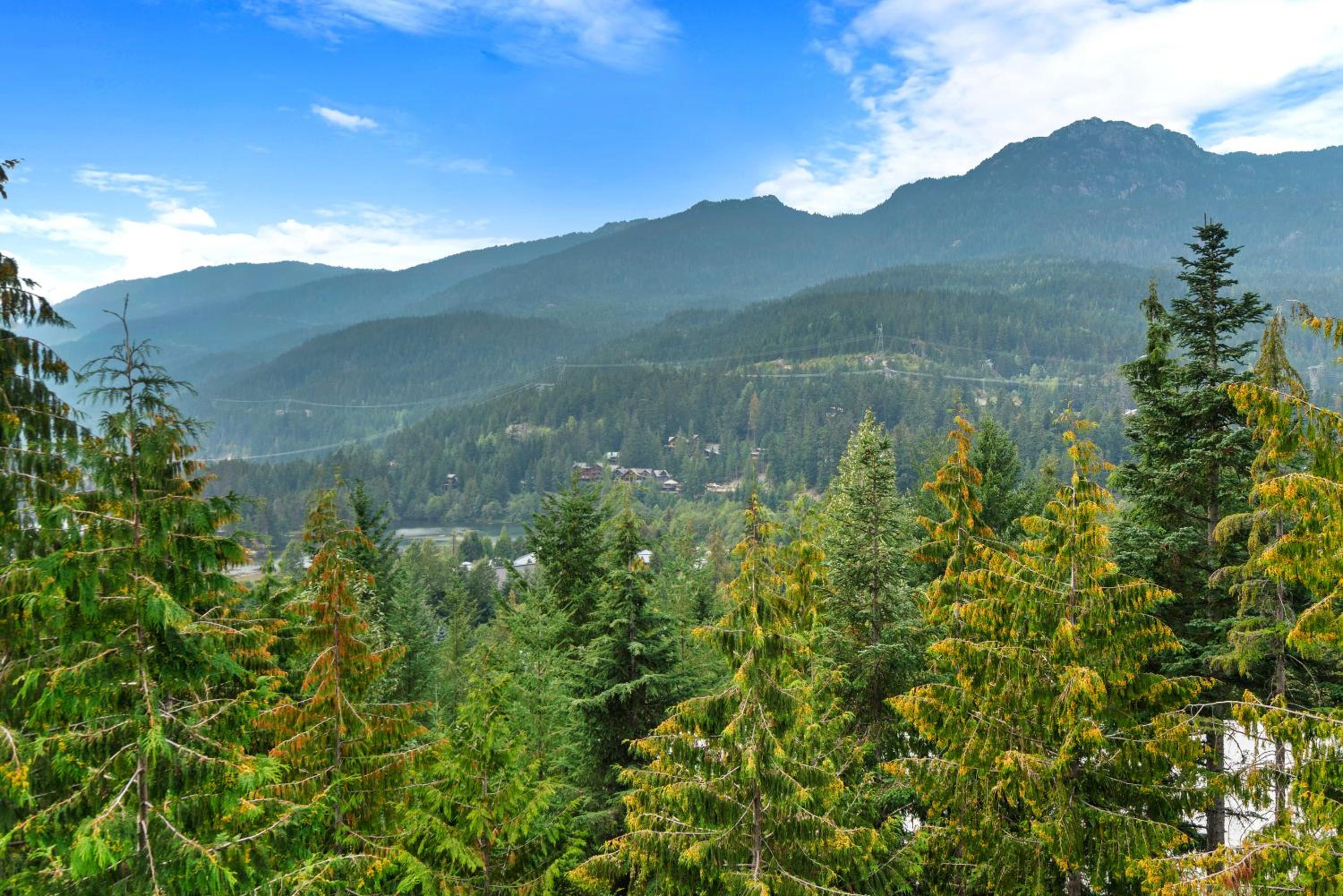 Whistler 'Treehouse'