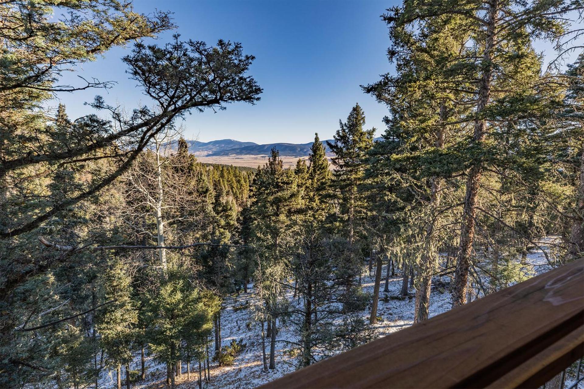 RidgeWalk Treehouse view 5