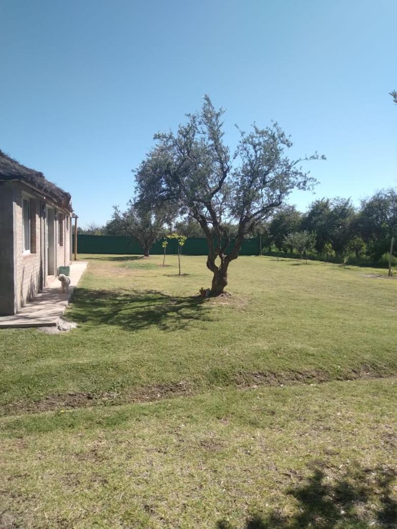 Cabaña Doña Alicia