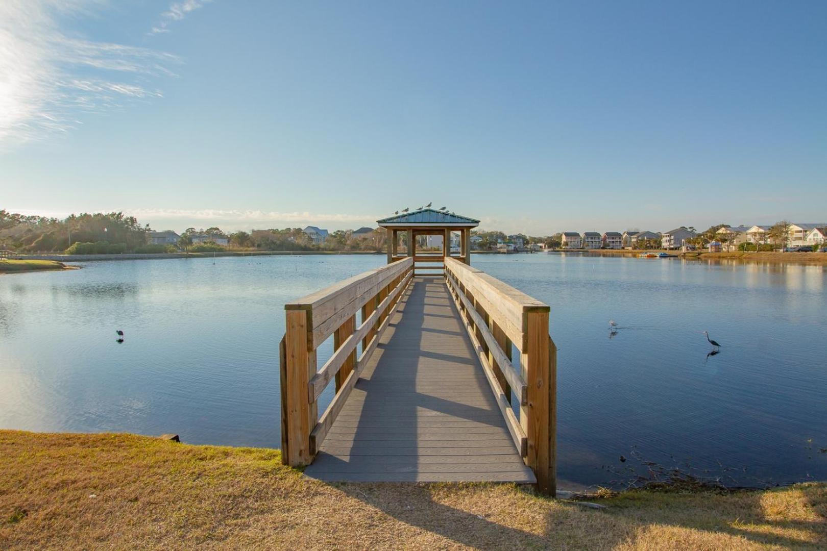 Oceanfront Pet Friendly Private Home
