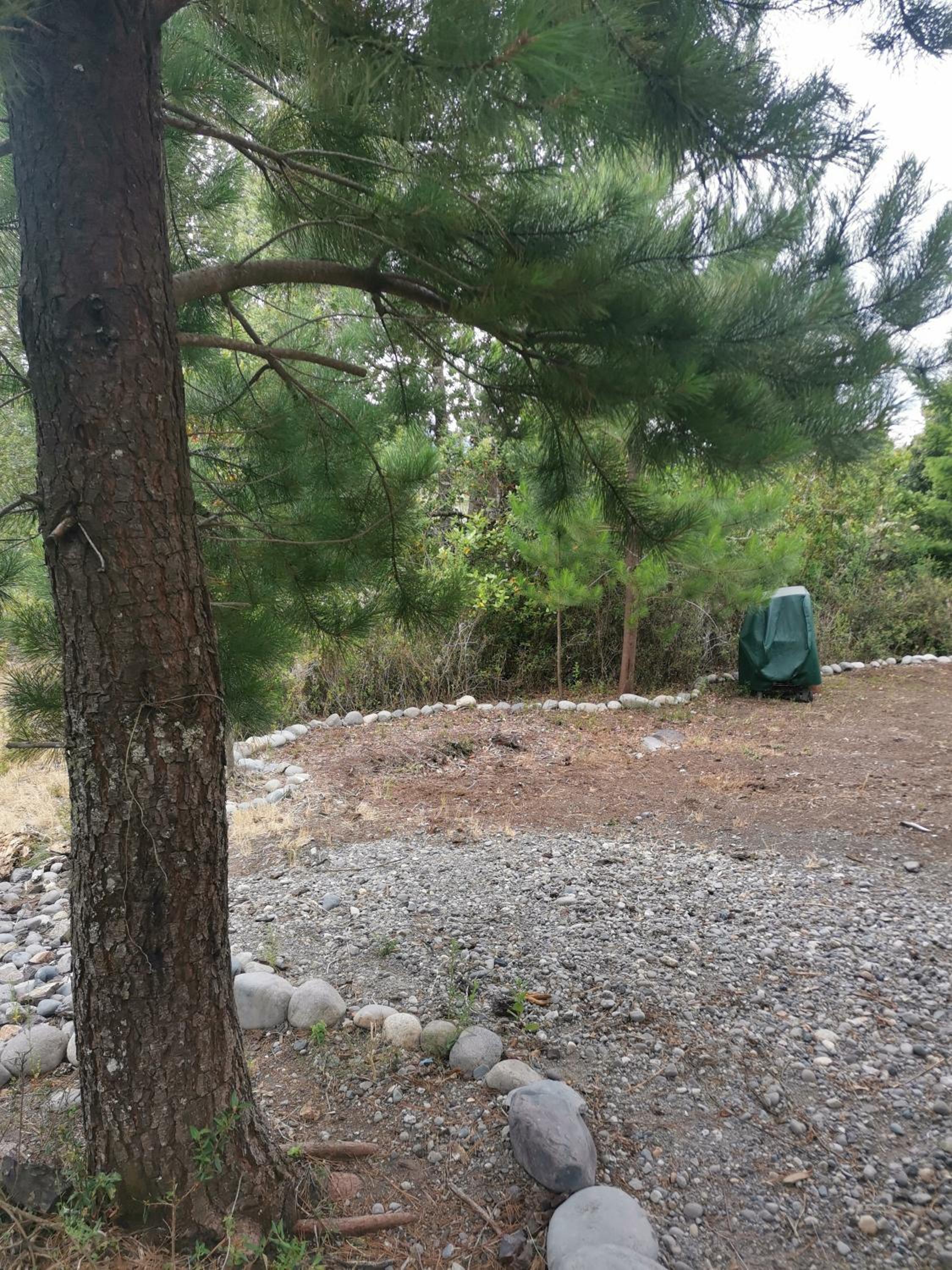 Lagos y Bosques
