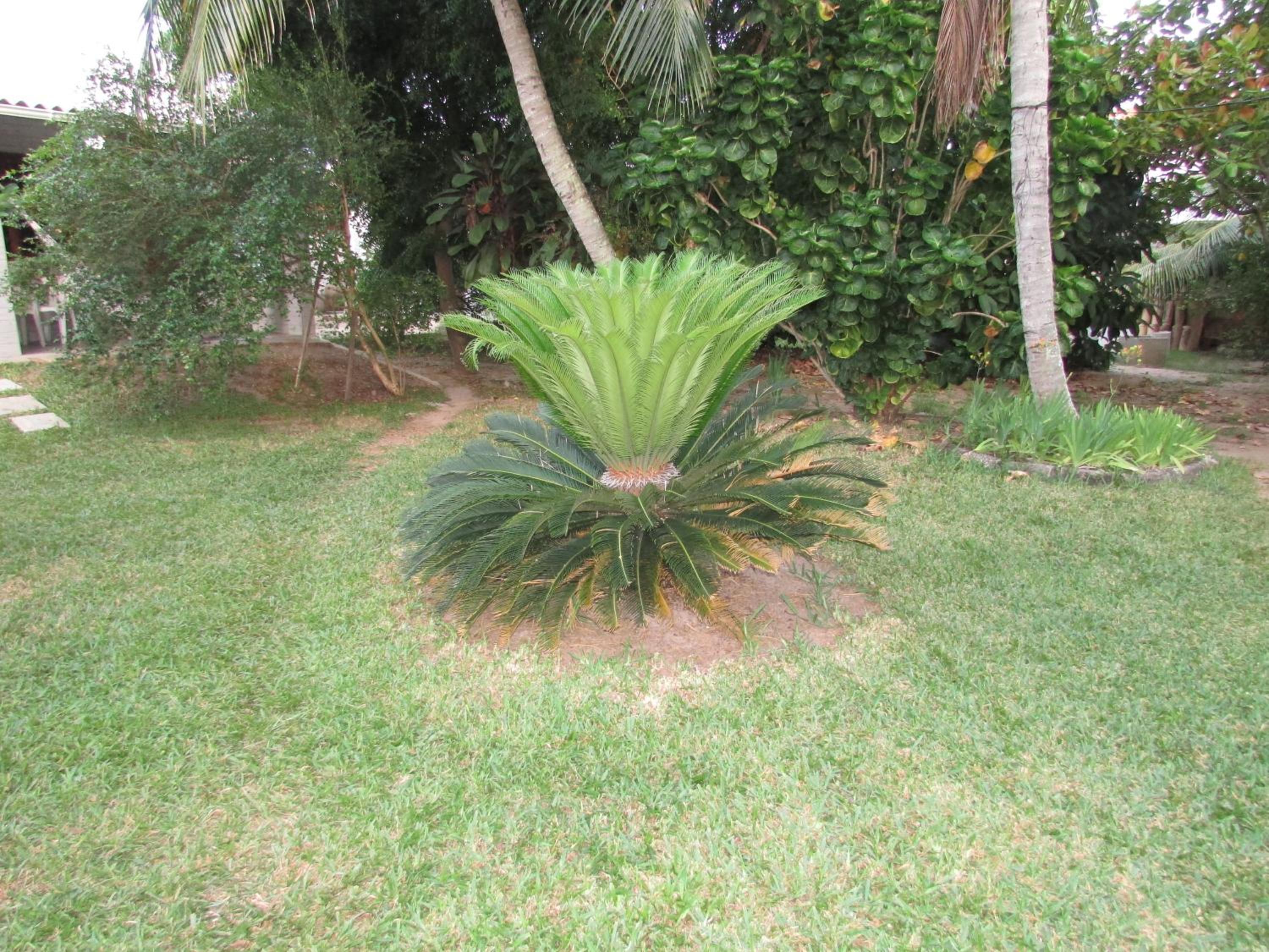 Hotel Pousada Ipitanga IV