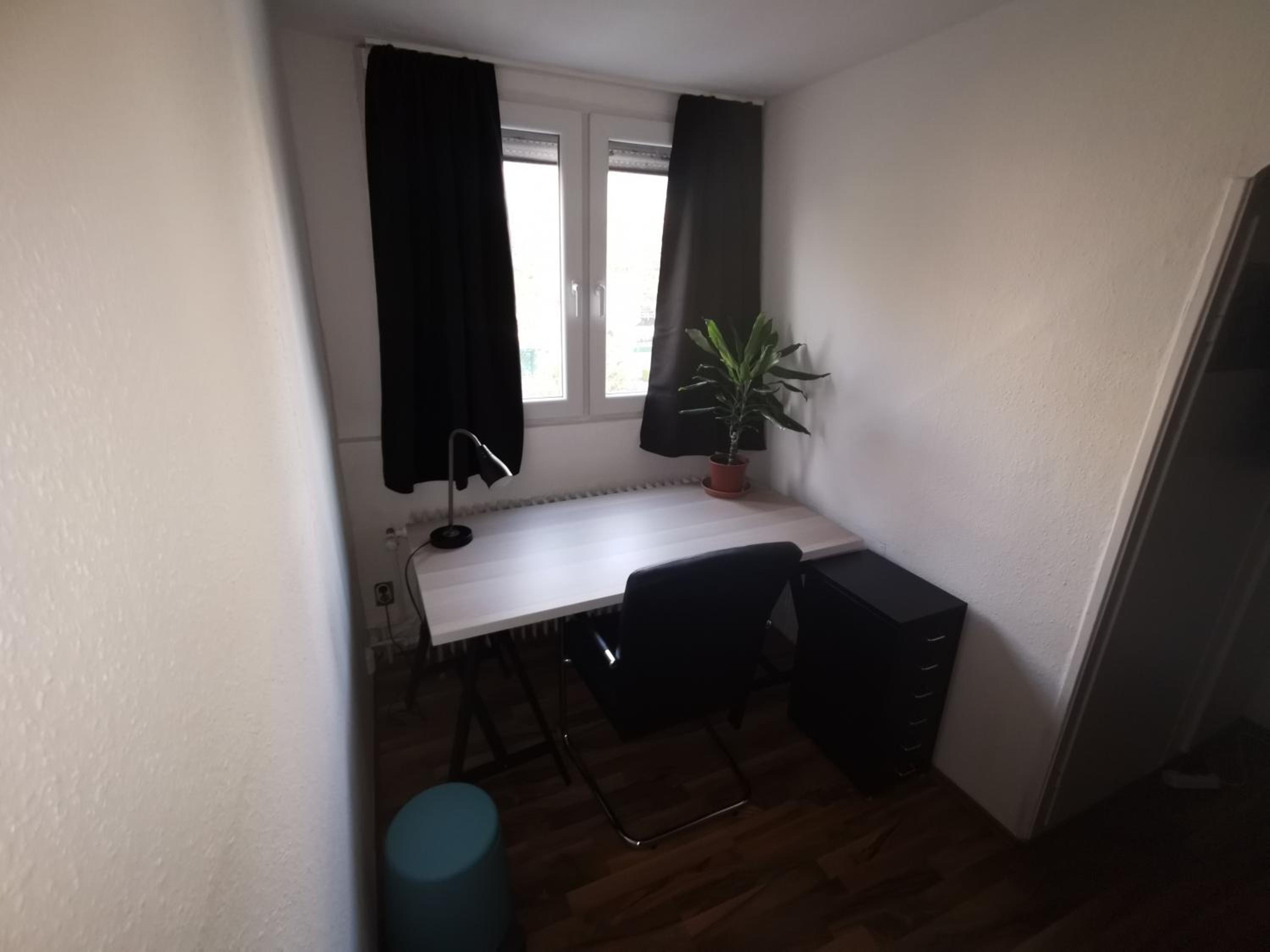 Photo 12