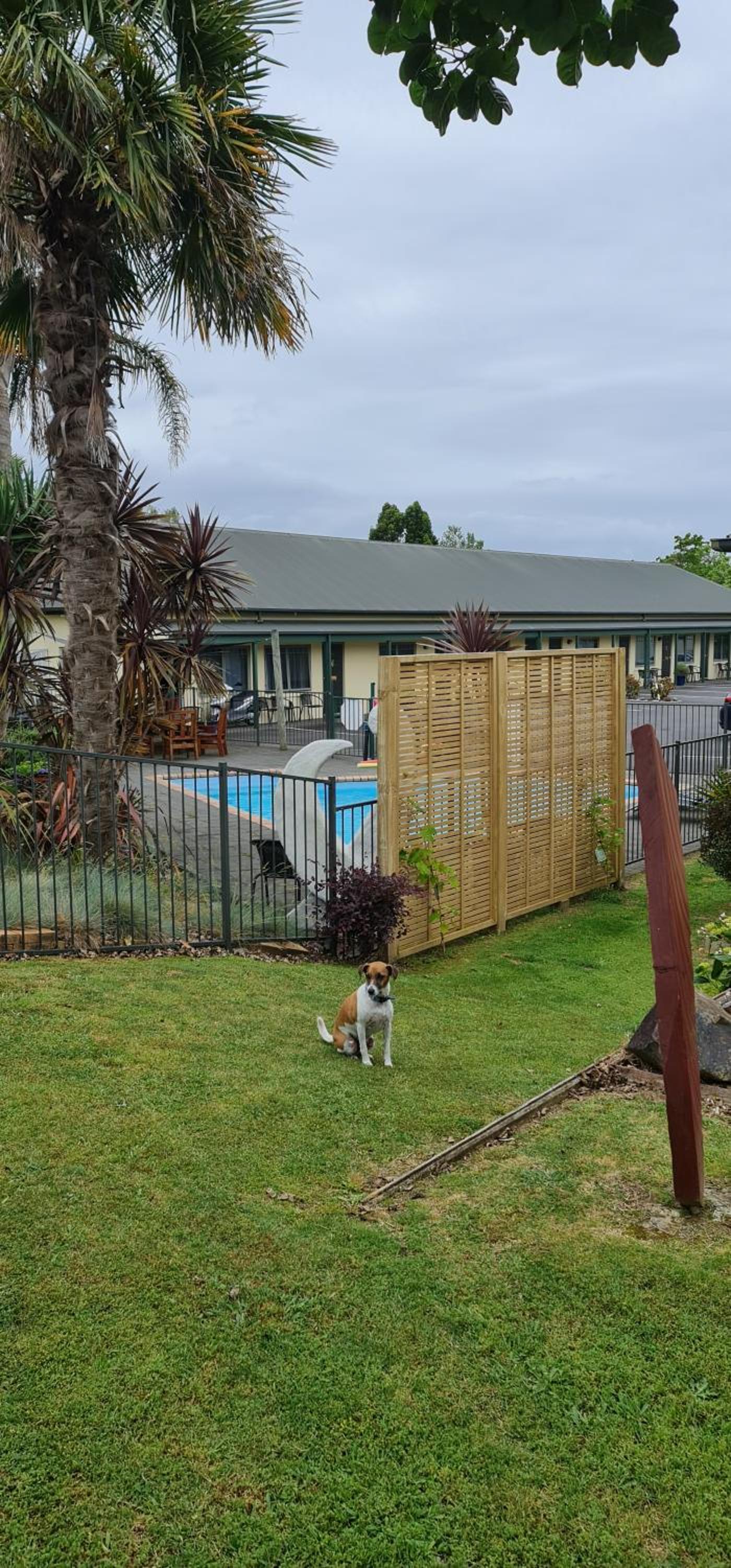 ASURE Kaimai View Motel