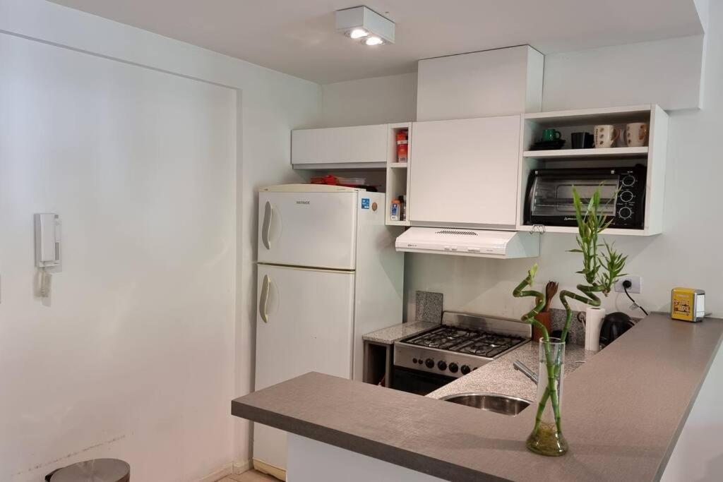Departamento Recoleta - Sanchez de Bustamante