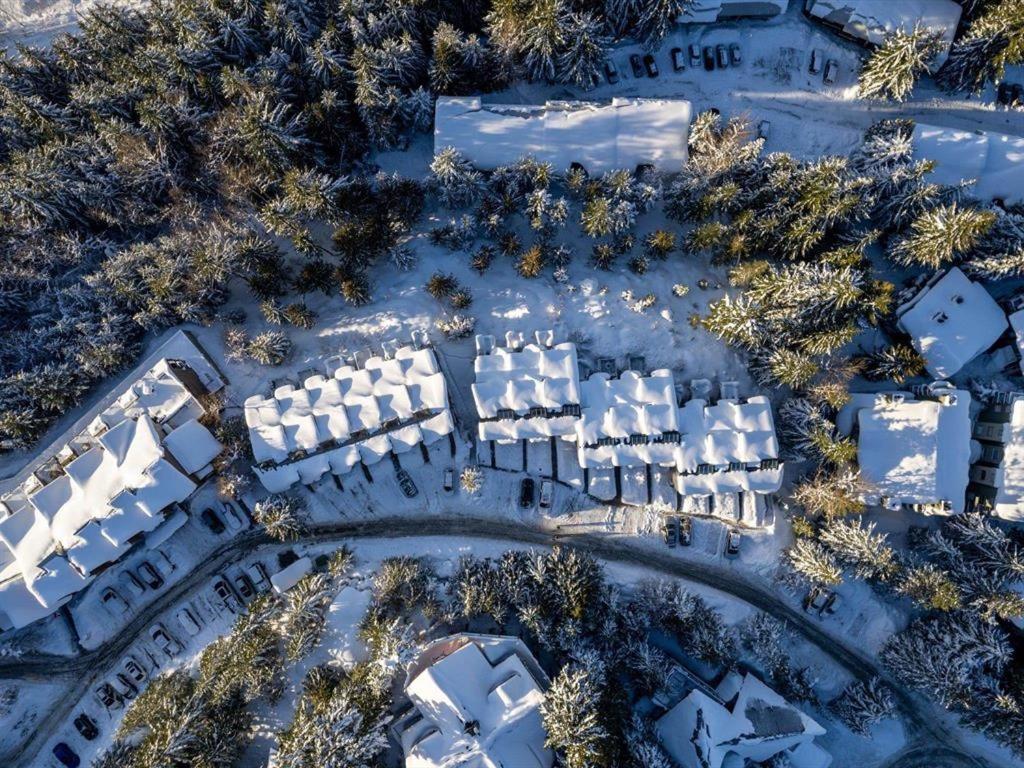 Whistler 'Treehouse'