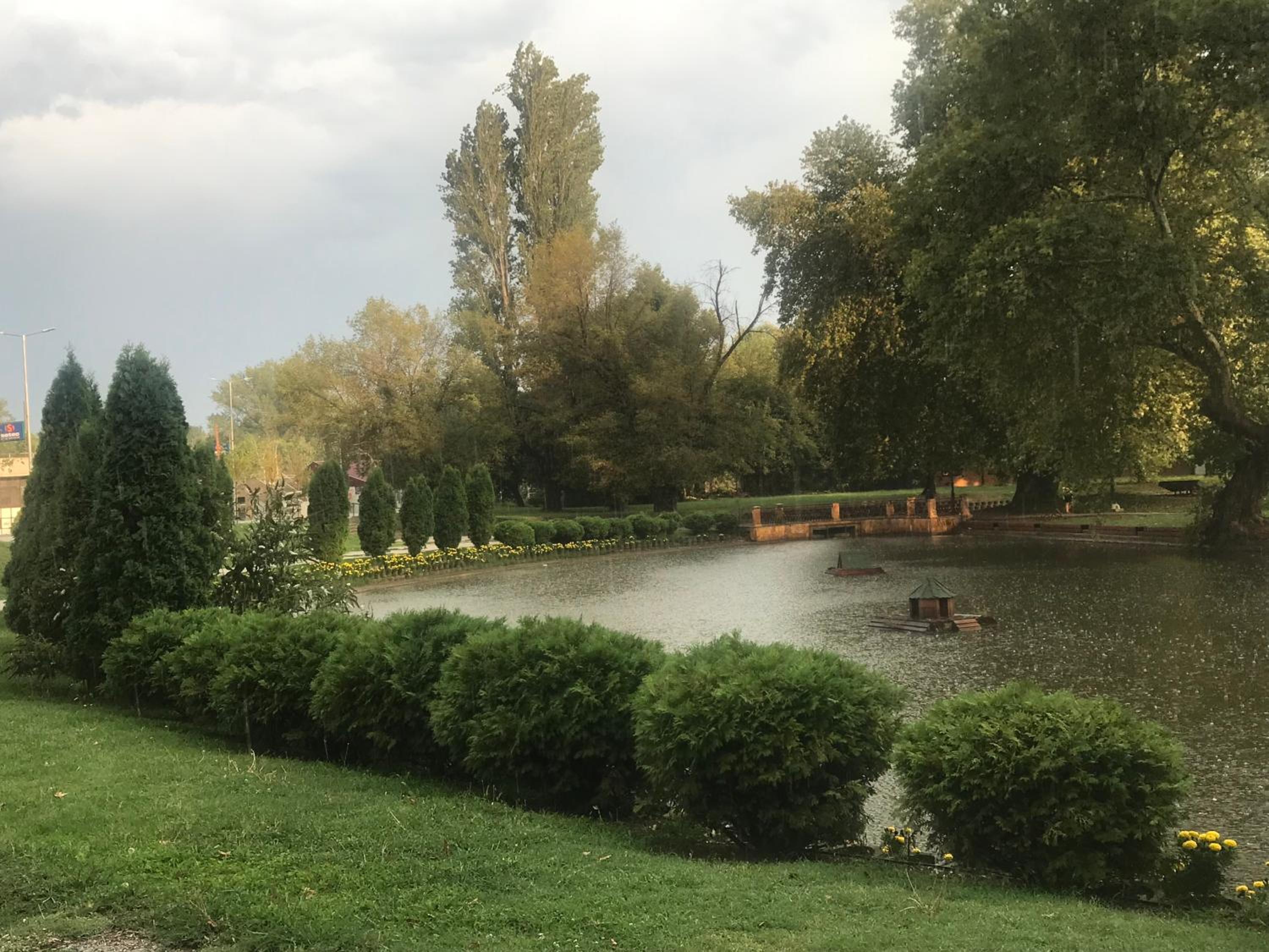 Photo 19