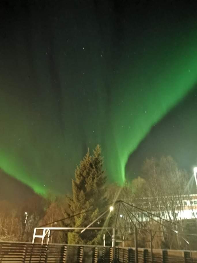 Aurora rooms in shared hause nr3 we are doing Northen Lights trip, Reaindear trip and Sommaroy Fjord trips view 2