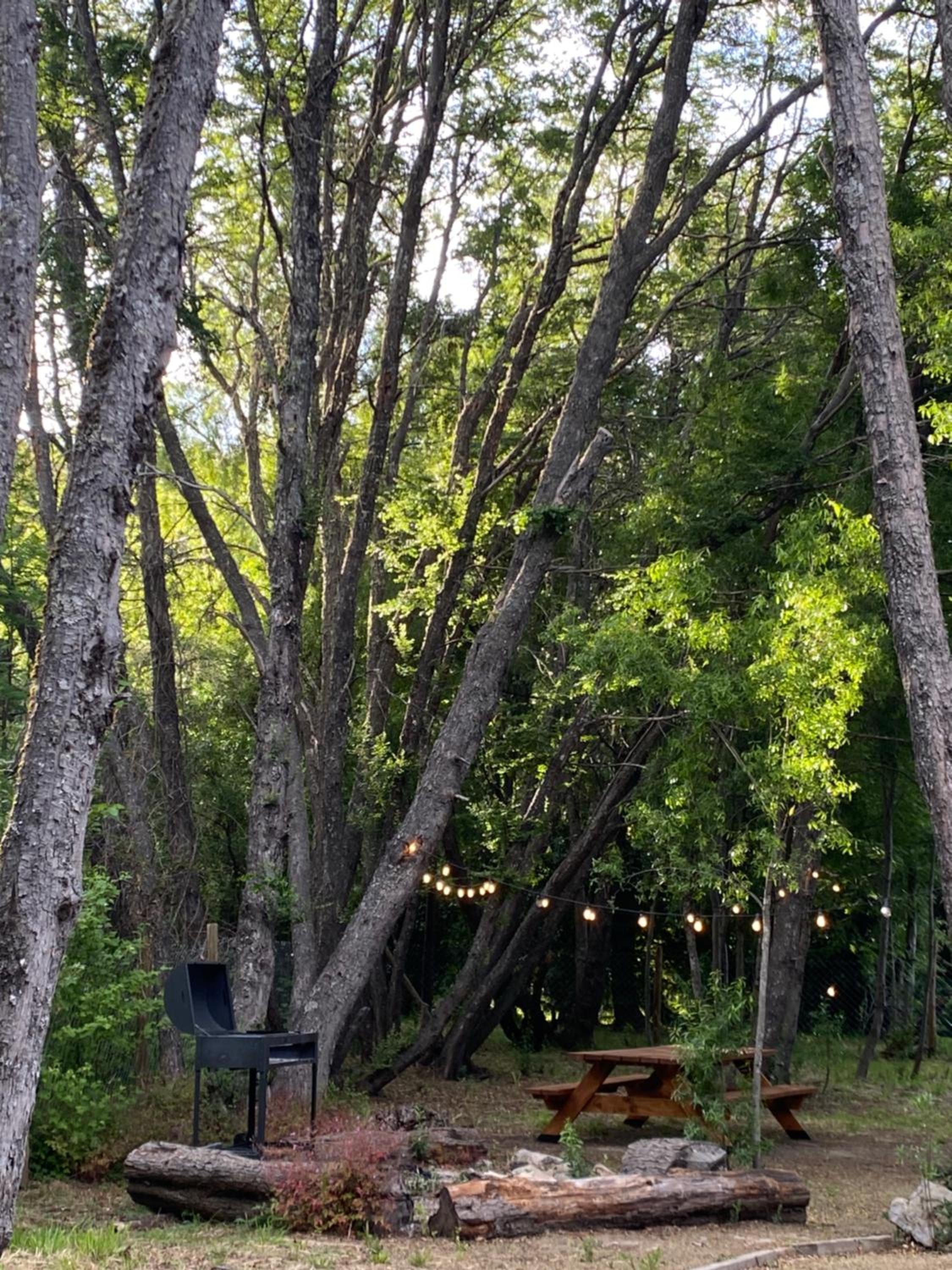 Casa del Bosque