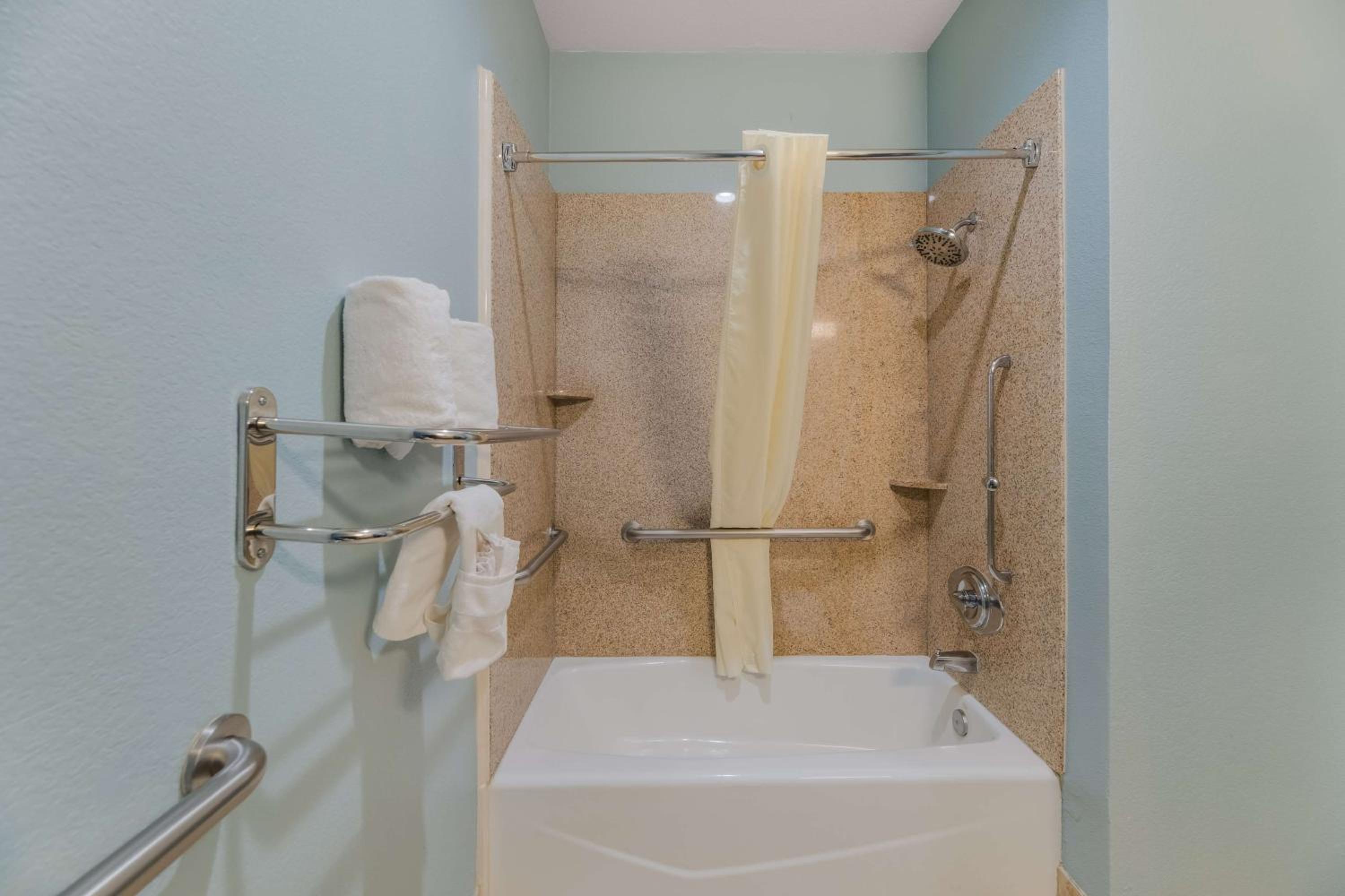 Best Western South Plains Inn & Suites