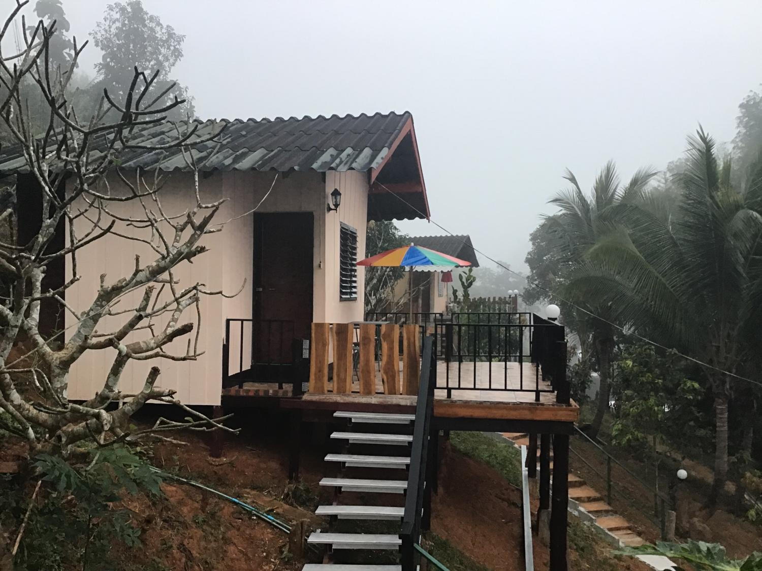 Forest Guesthouse