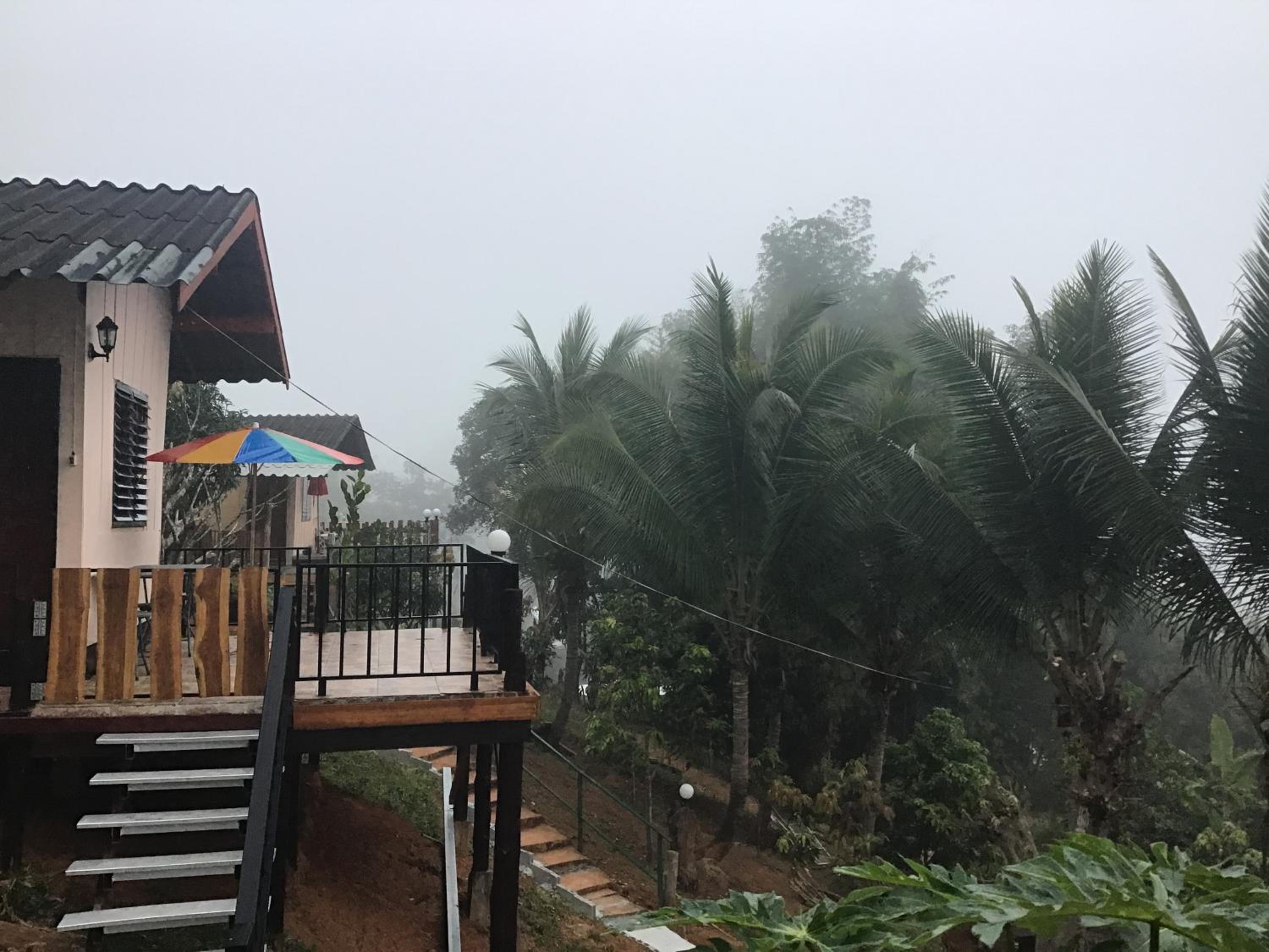 Forest Guesthouse