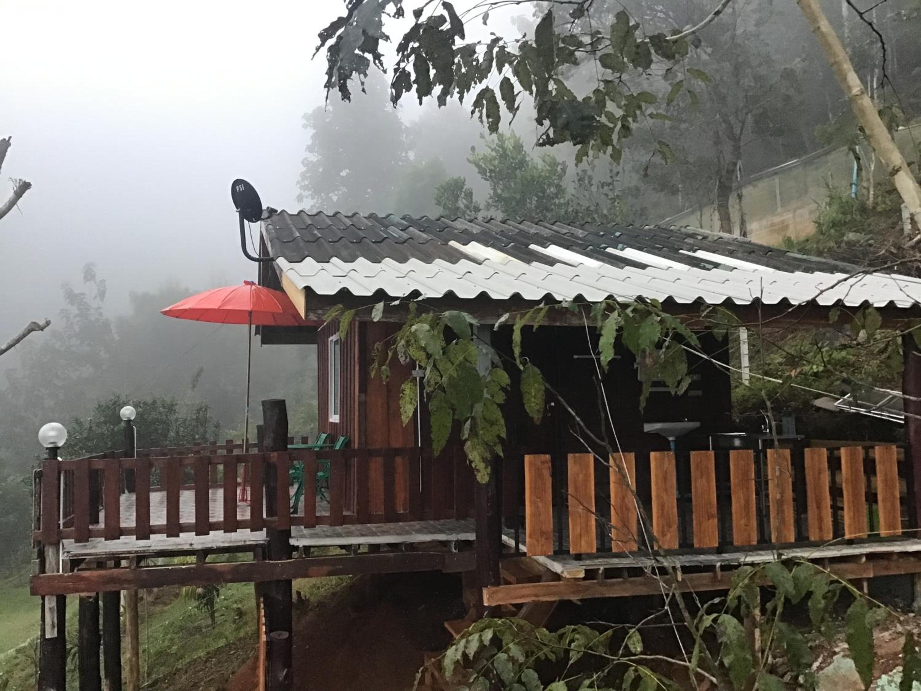 Forest Guesthouse