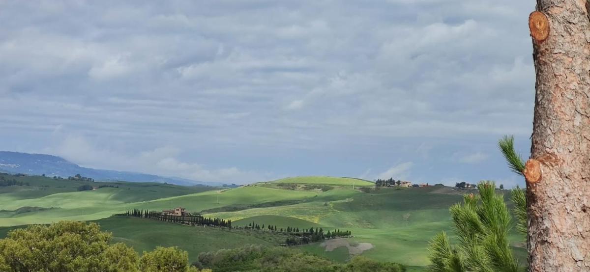 Podere Campiano