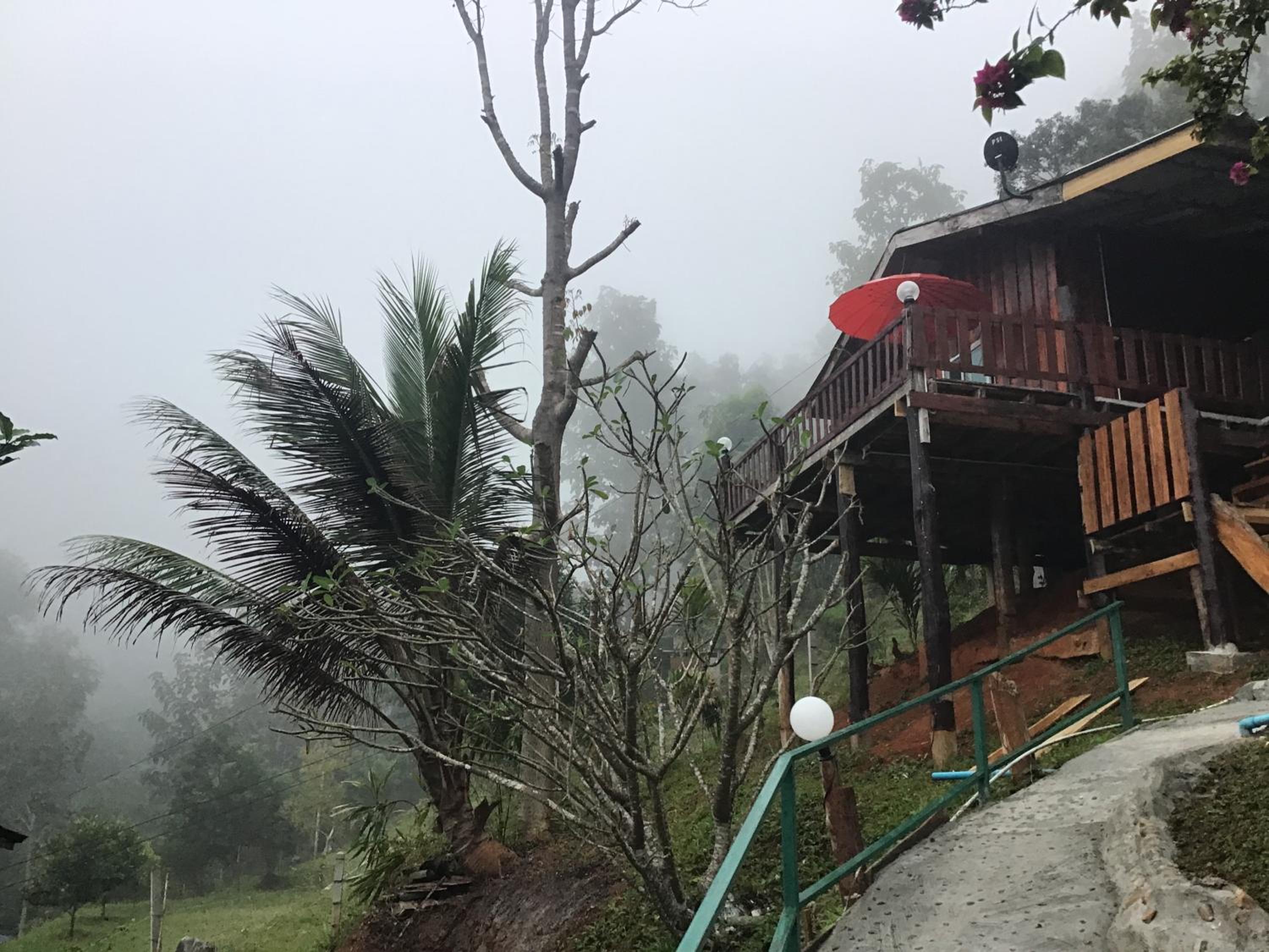 Forest Guesthouse
