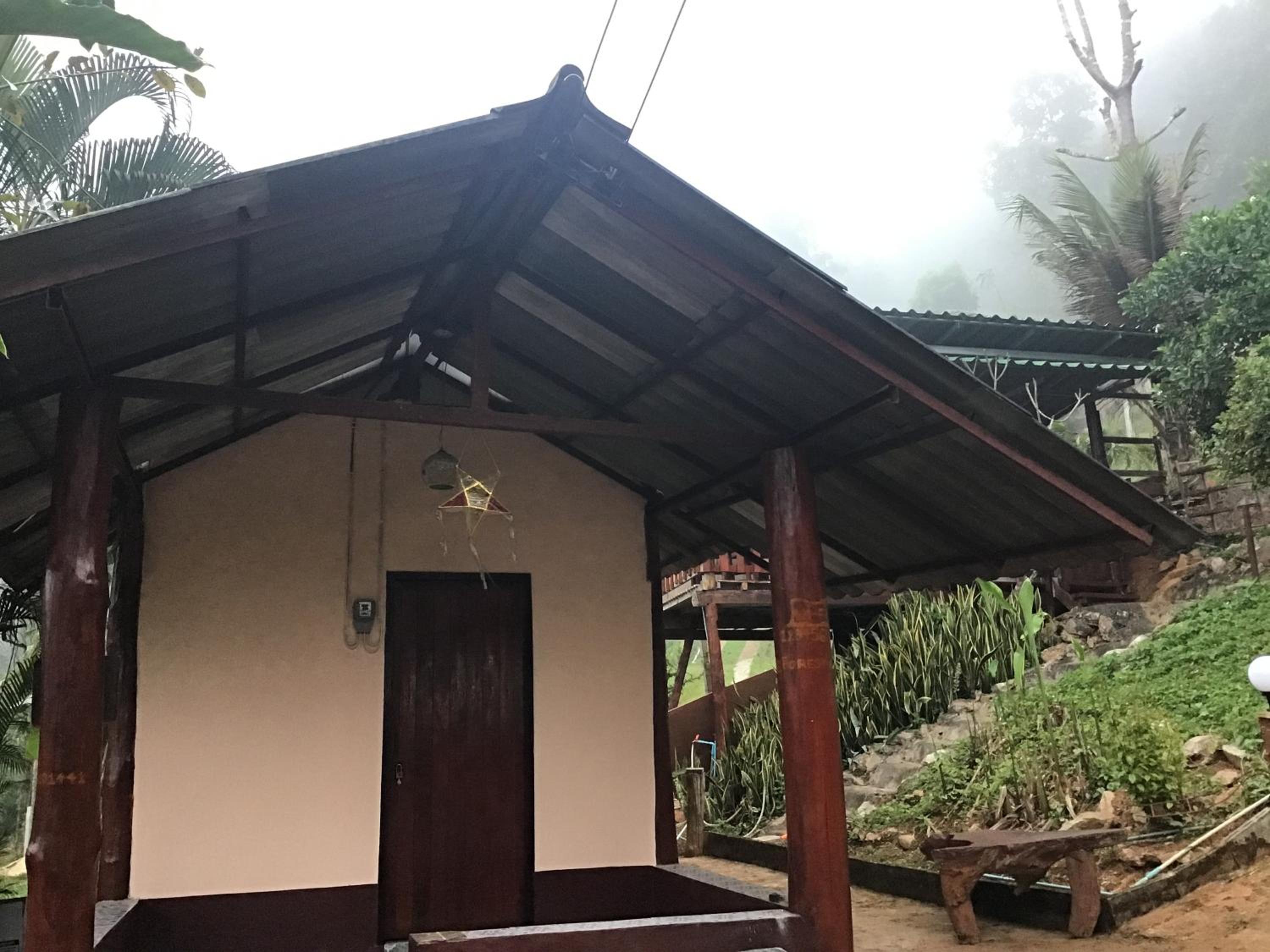 Forest Guesthouse