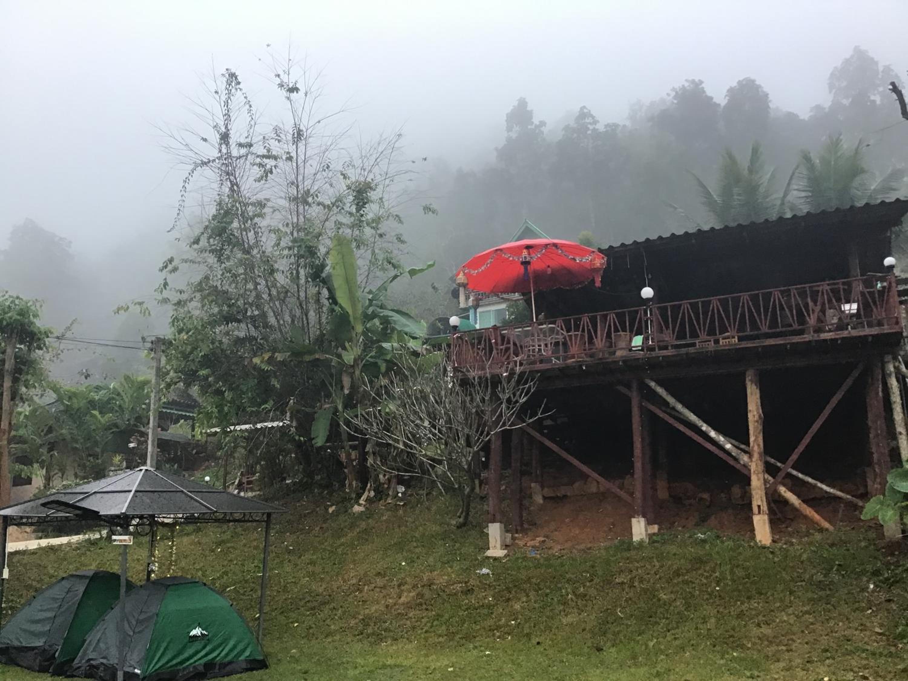 Forest Guesthouse