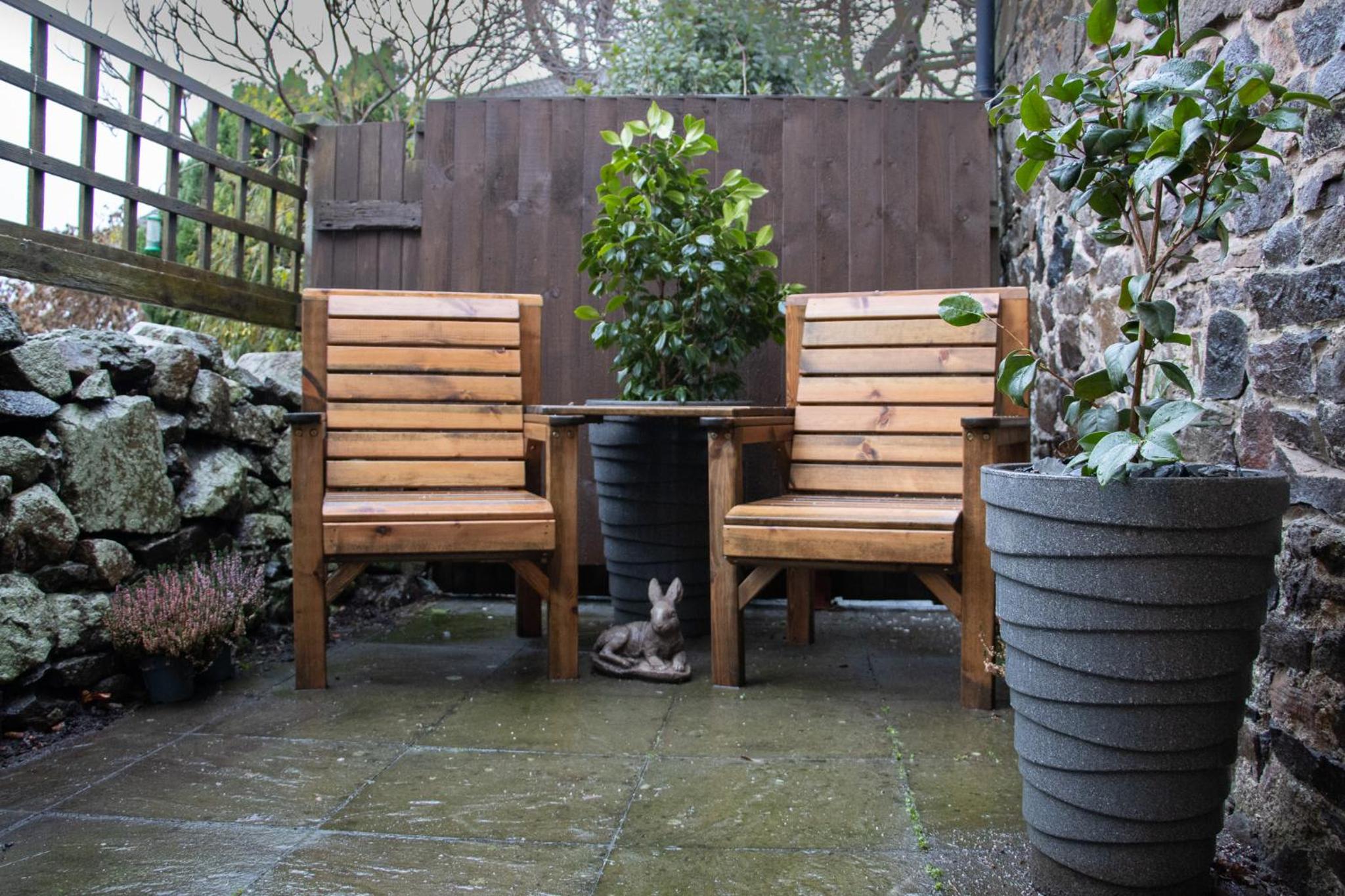 The Burrow