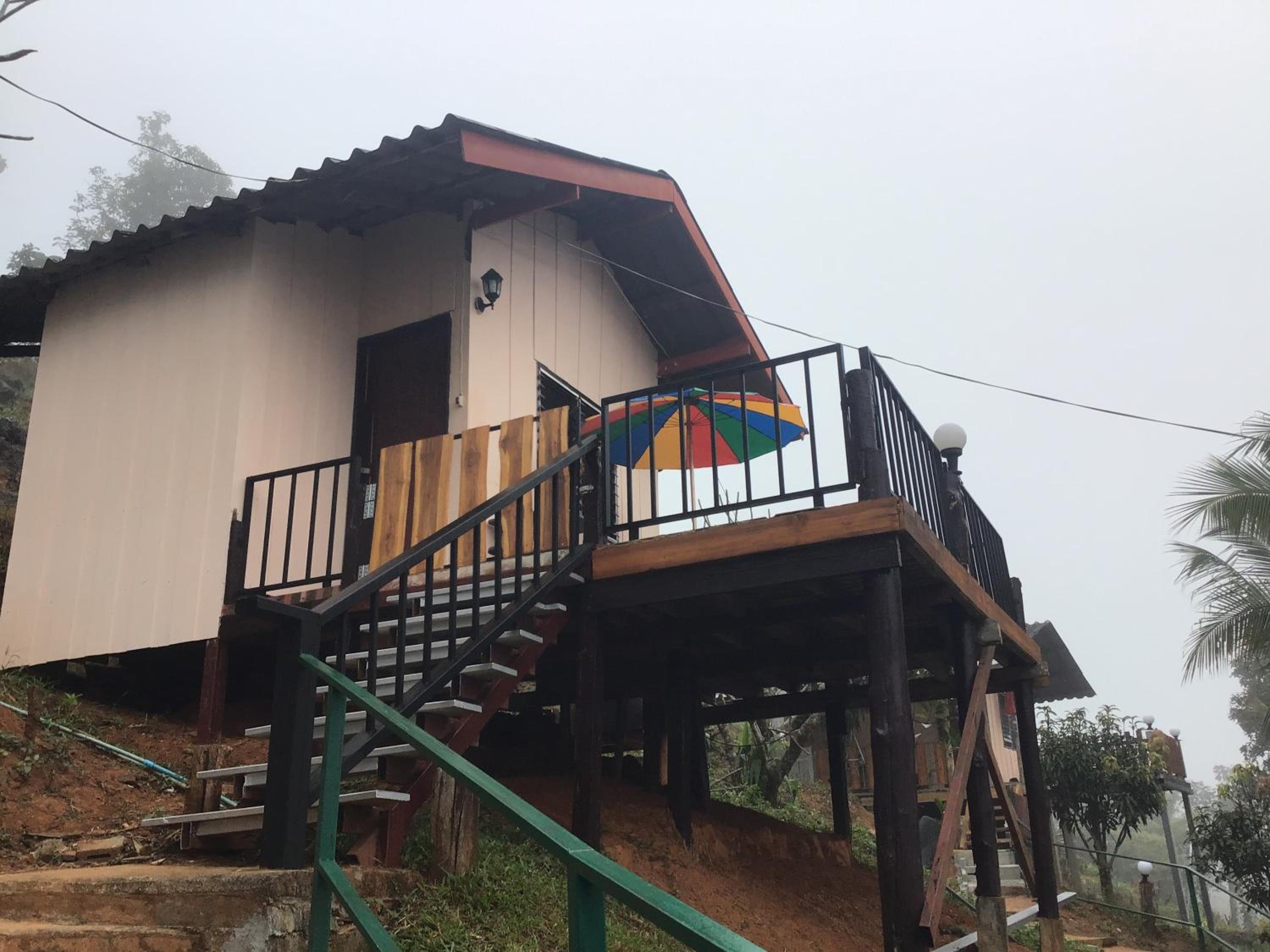Forest Guesthouse