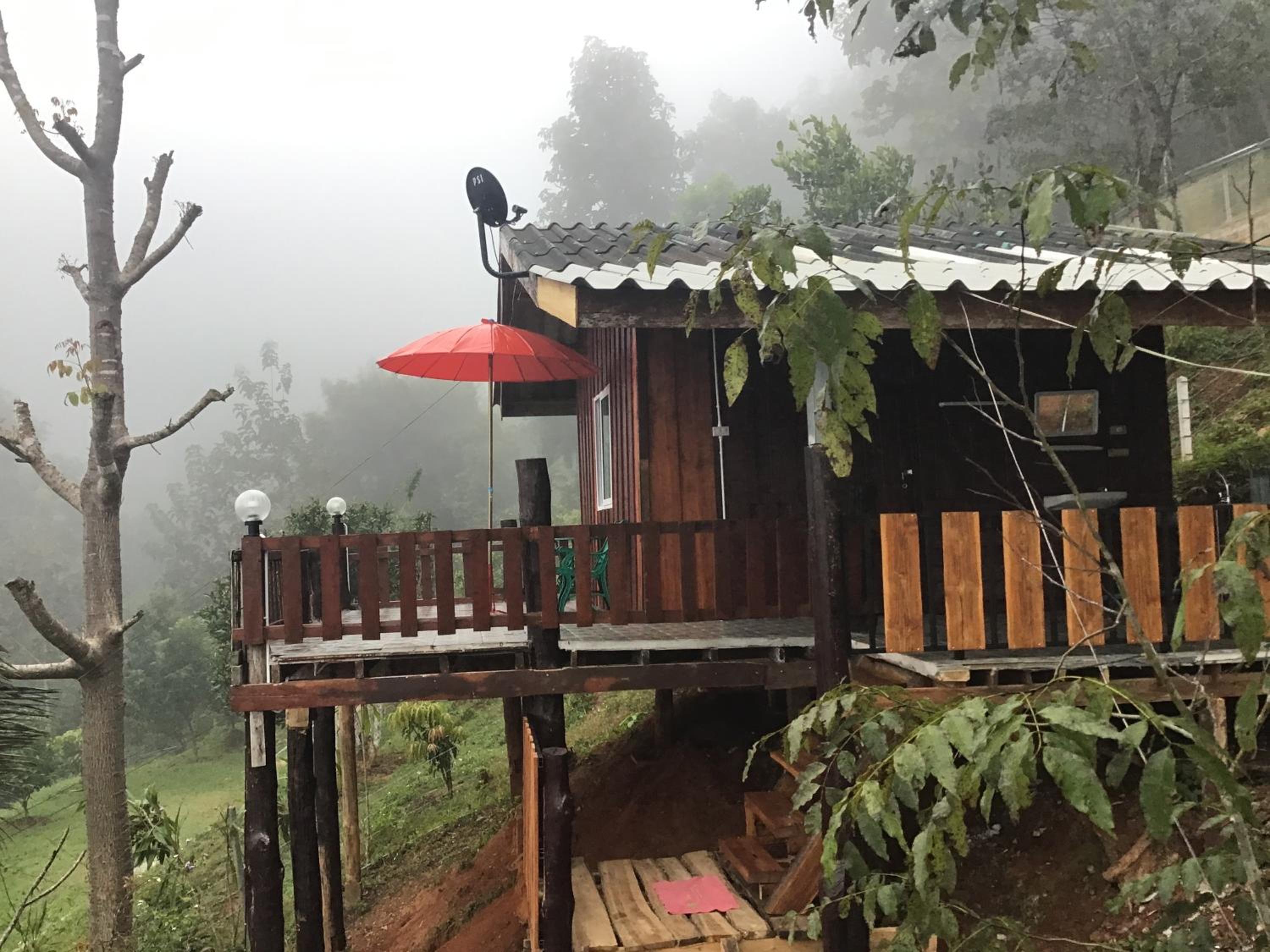 Forest Guesthouse