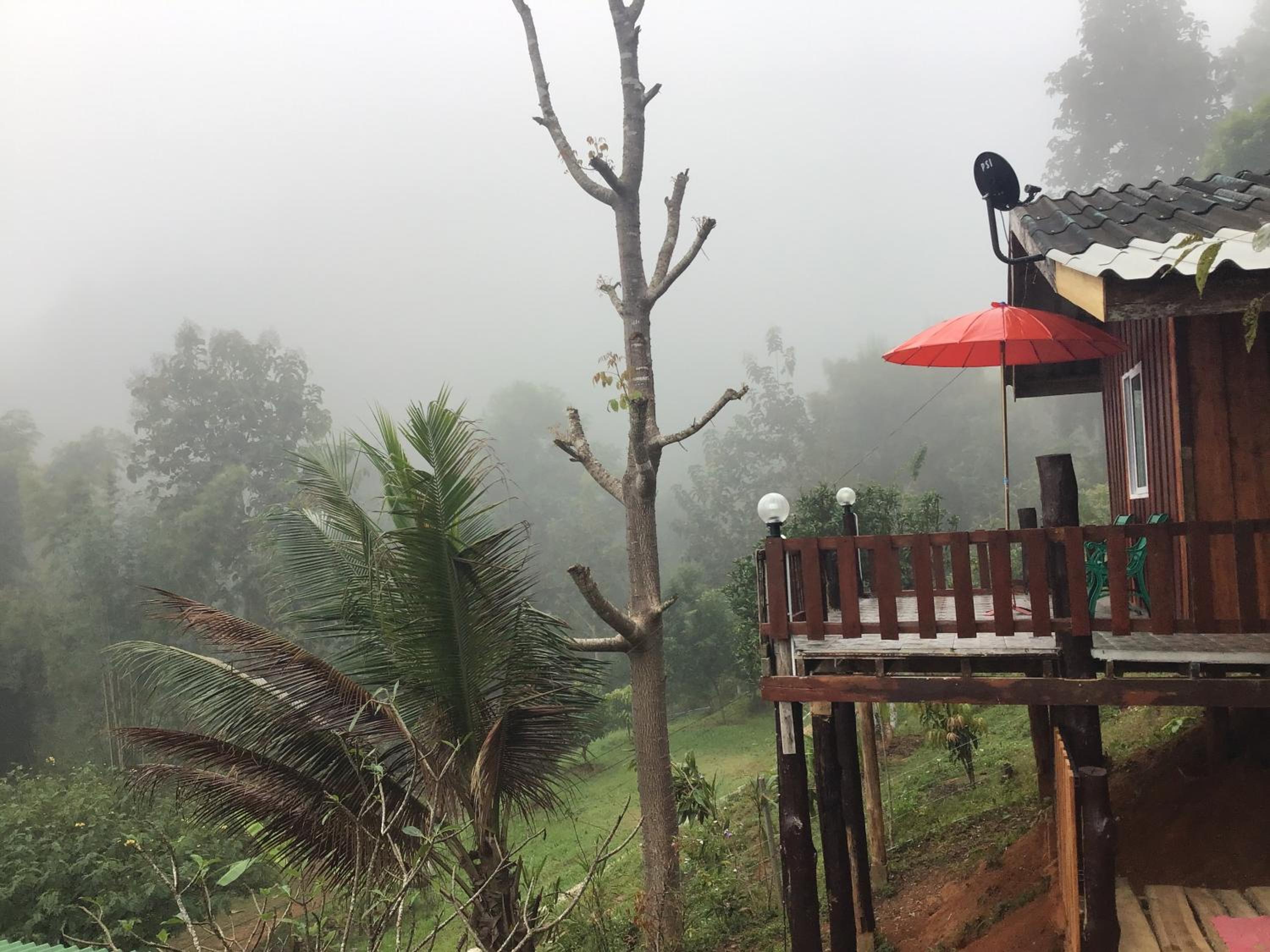 Forest Guesthouse