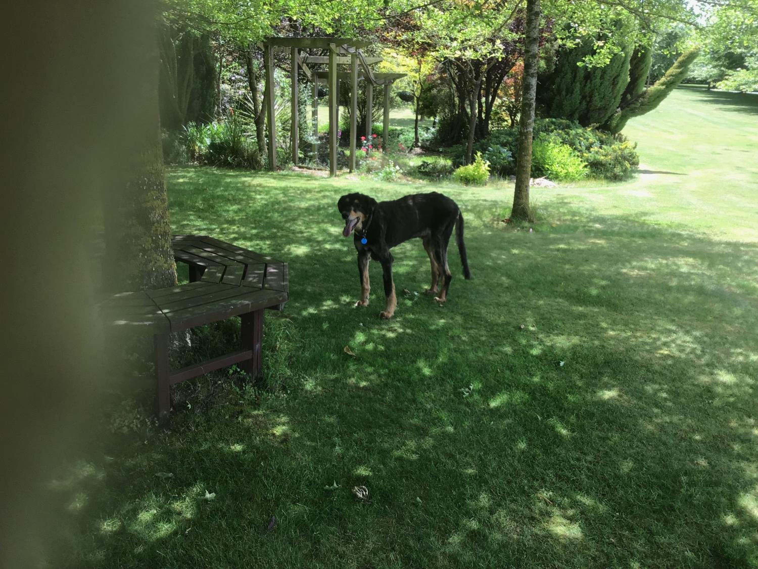 Chester Oaks B&B
