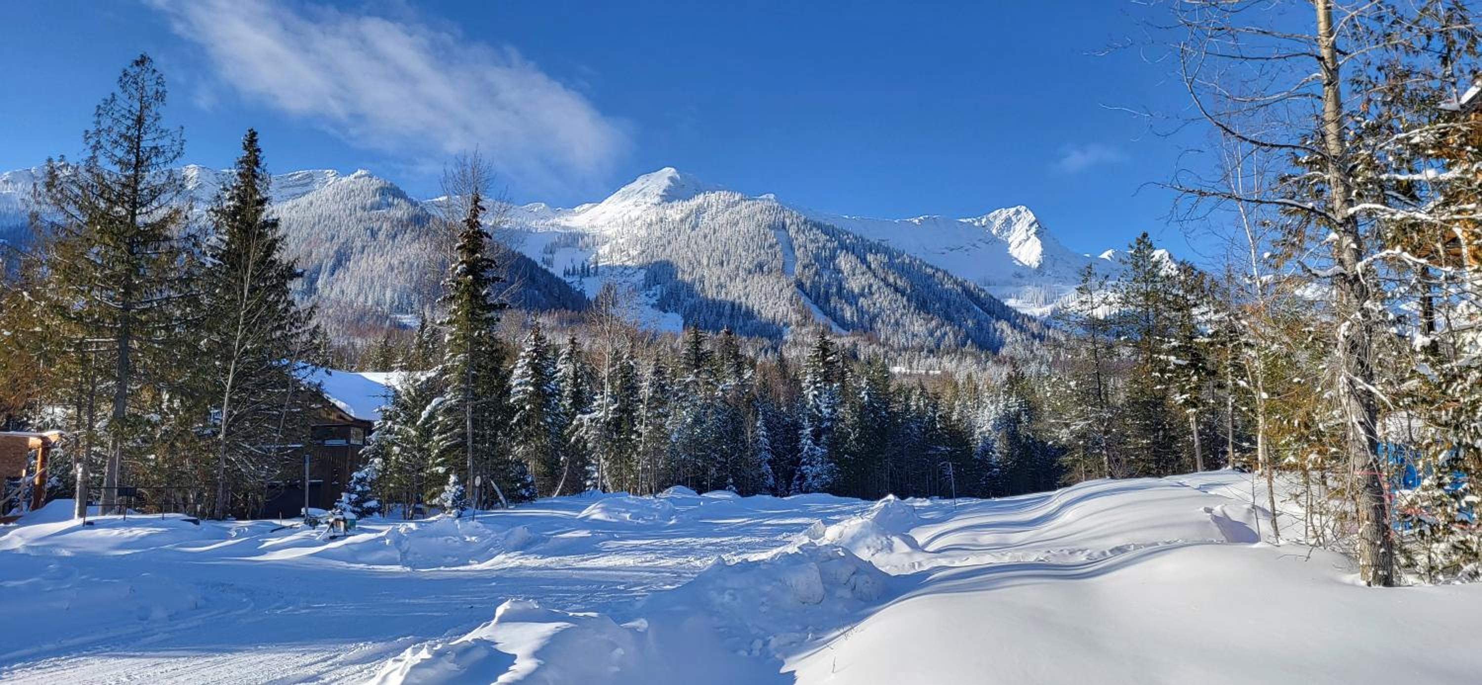Fernie Escape - Mountain Home on the Ski Hill