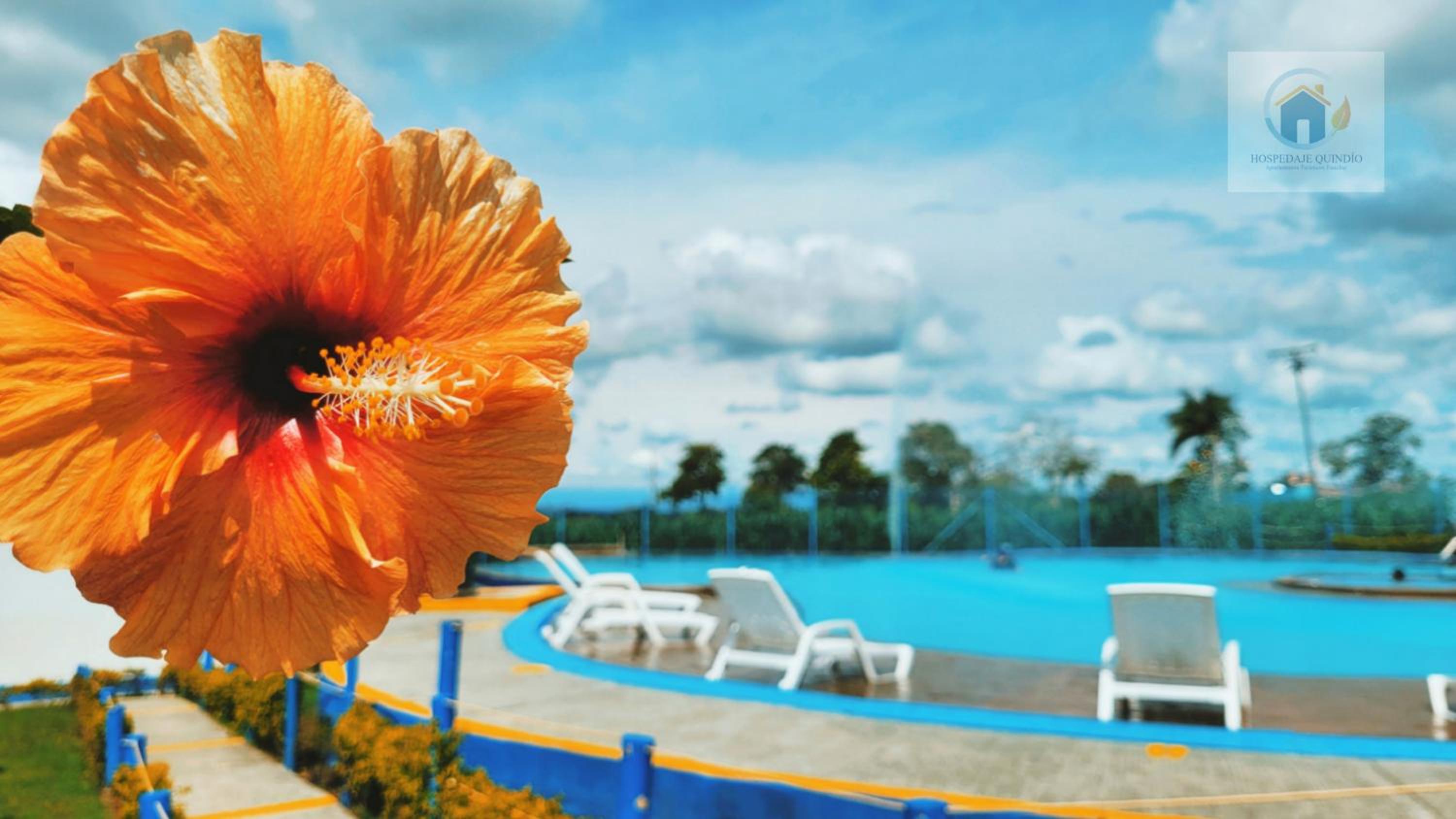 Apto con Piscina a 5min del Parque Nacional Del Café