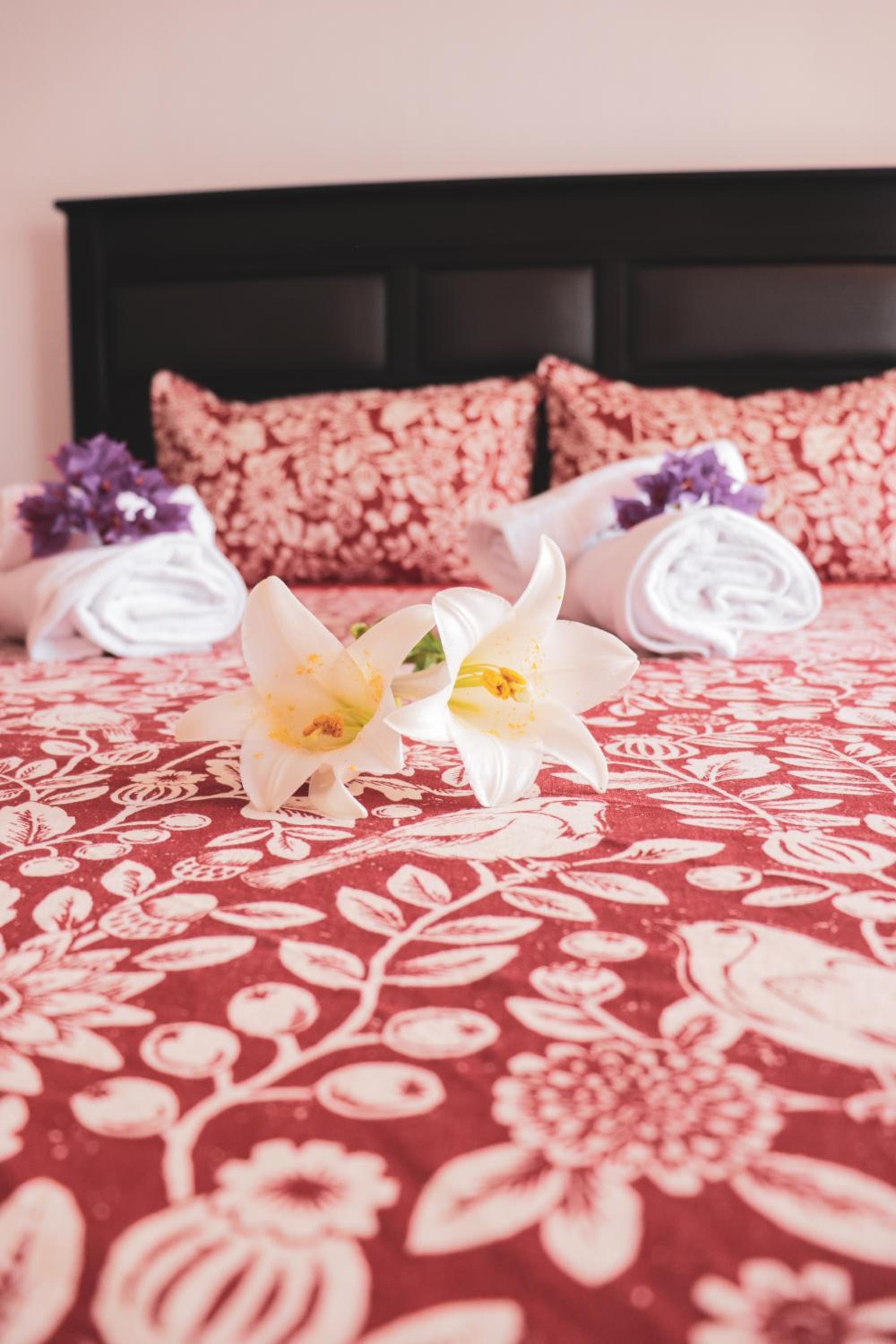 Hostal Makohe Rapa Nui