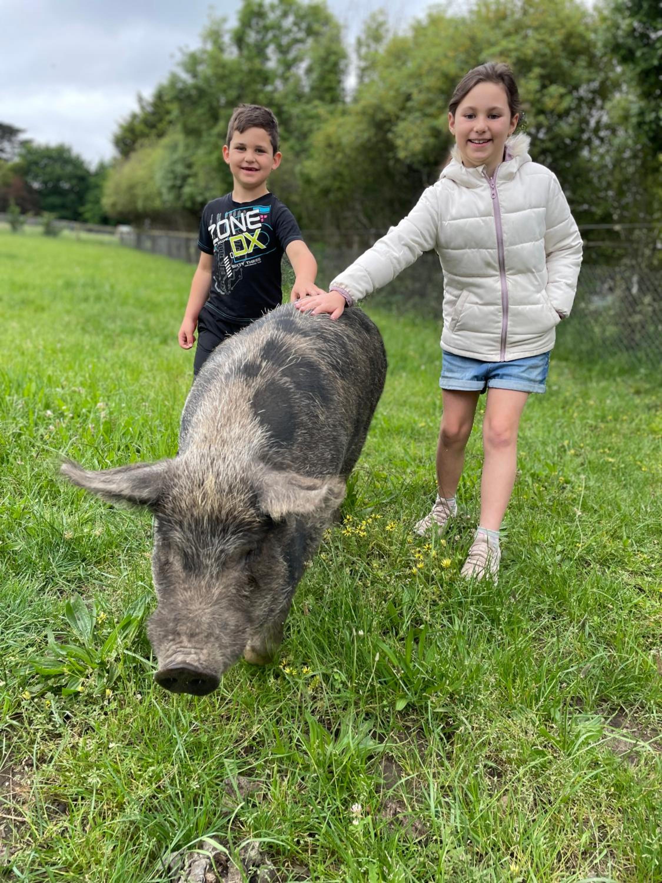 Farm Stay MAPLE Cottage at Wilindi Estate