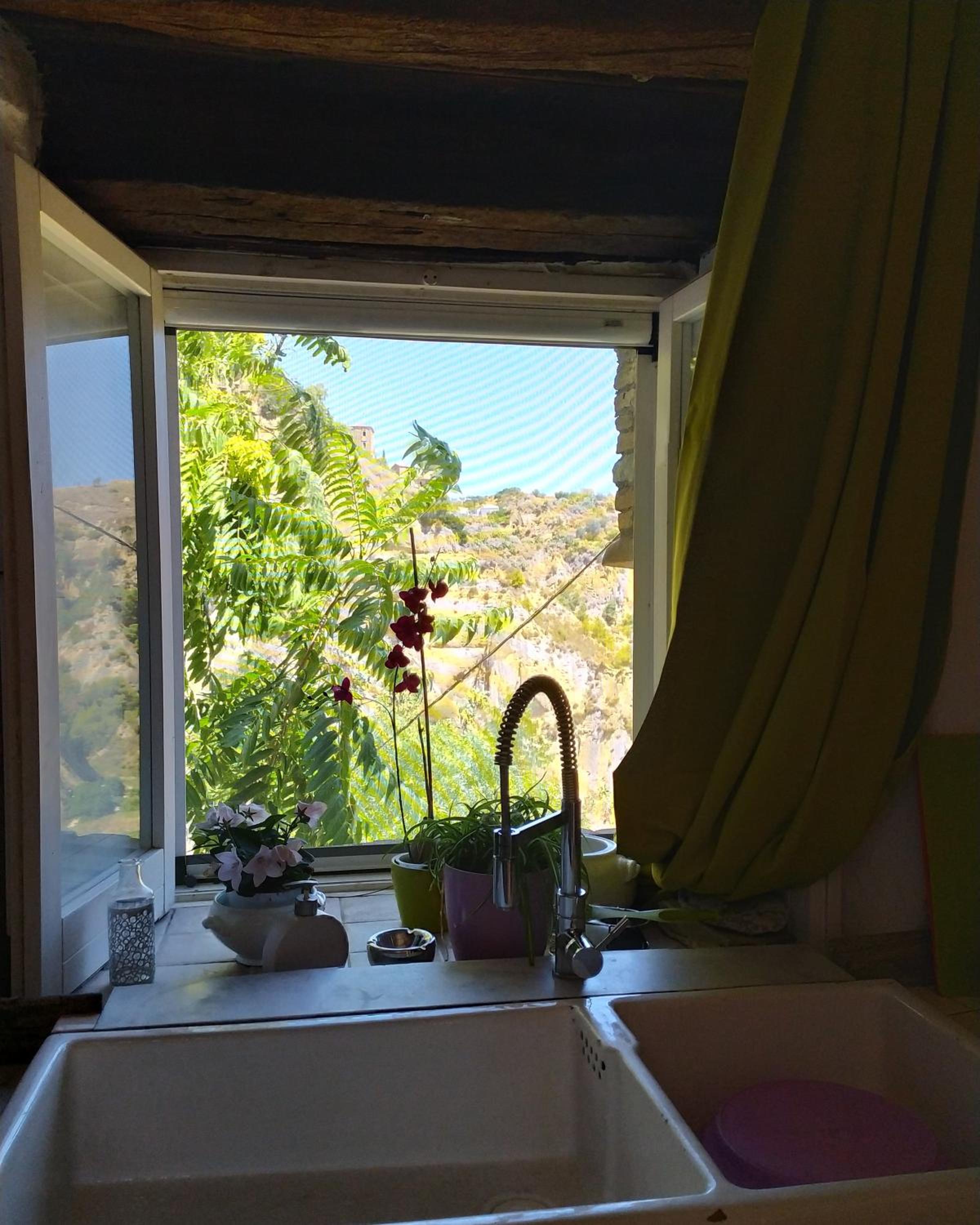 The Bergamot photo 3