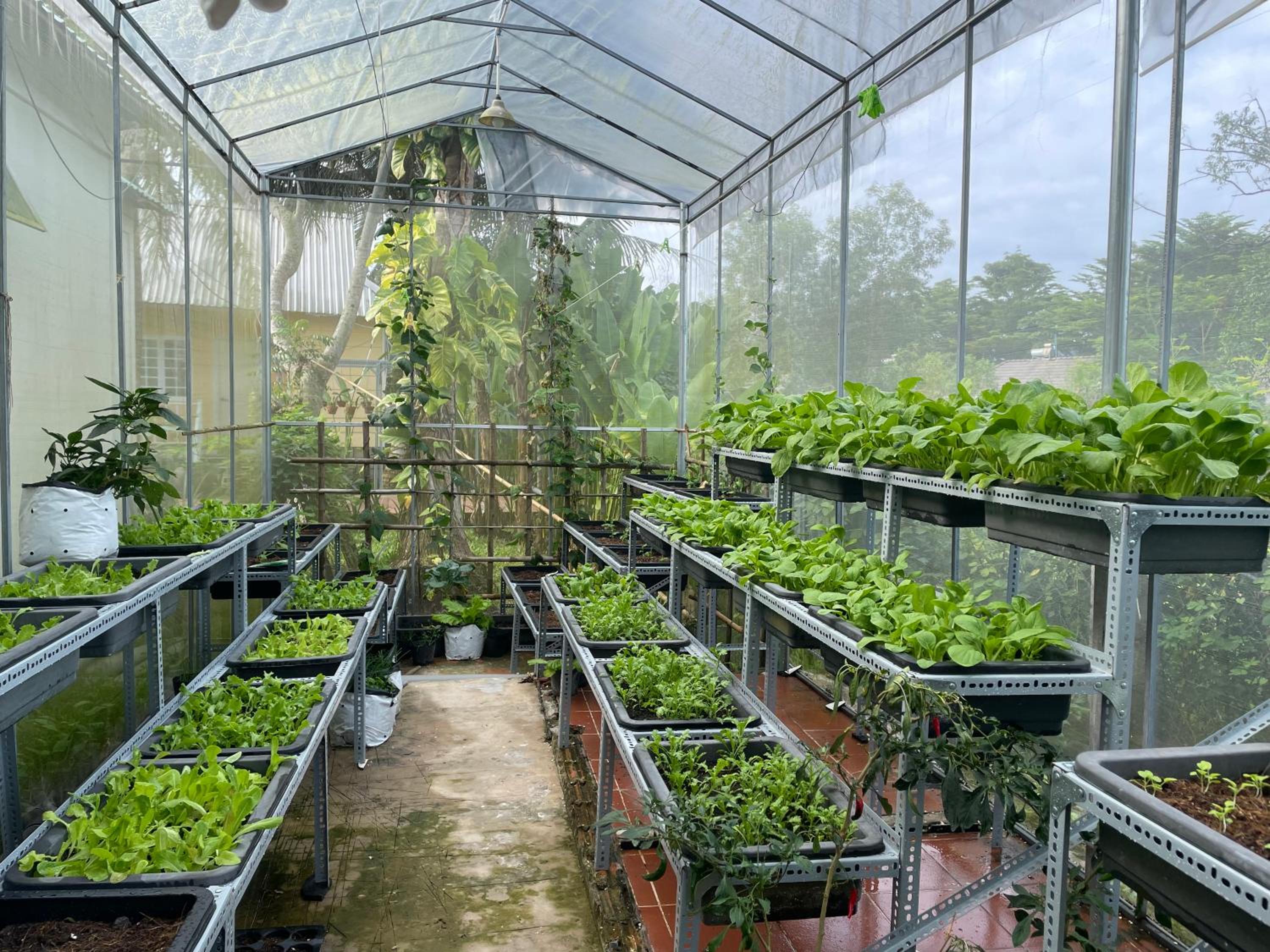 Tropical Garden Phu Quoc