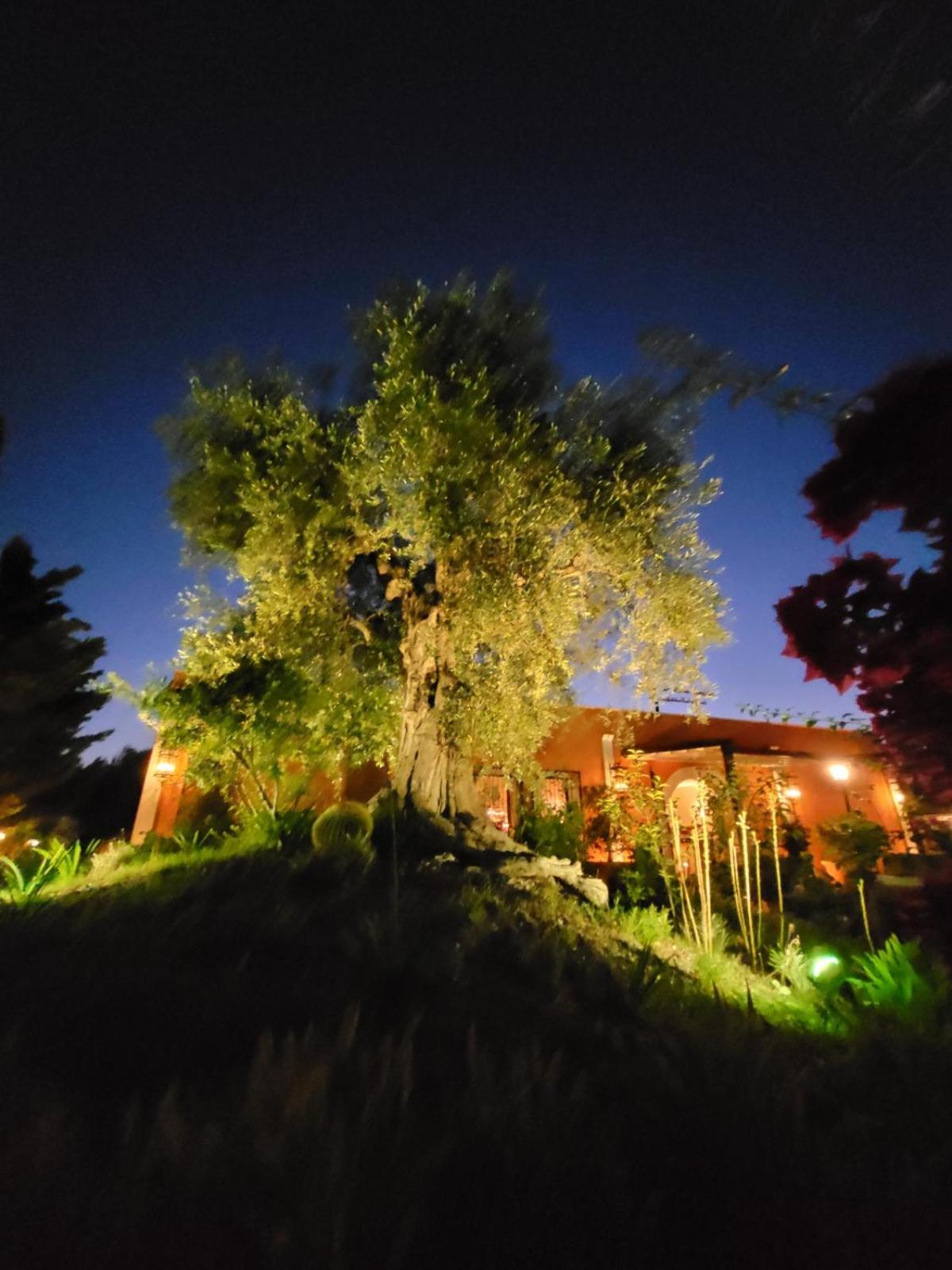 Hotel Resort Poggio degli Ulivi