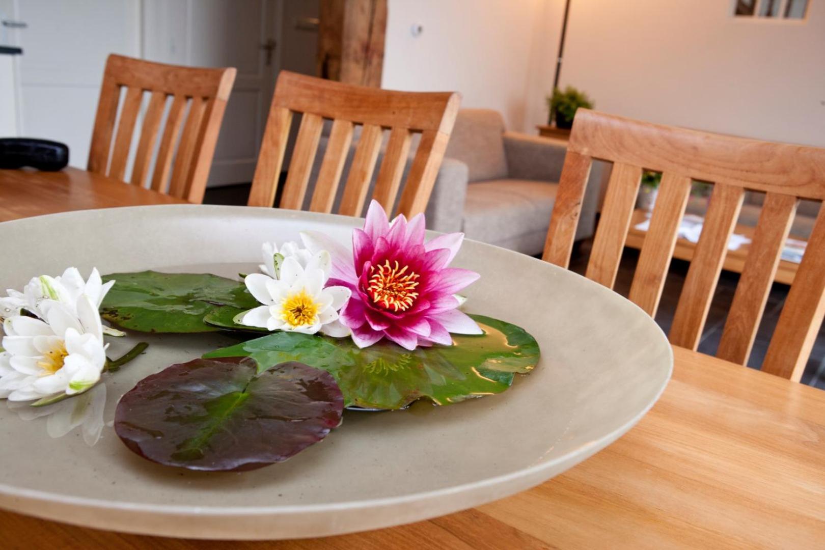 Luxe vakantiehuis in Friesland