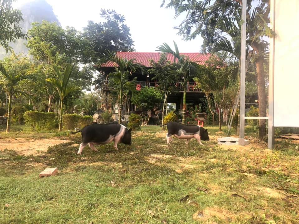 Homestay Bách Thảo Tà Lùng
