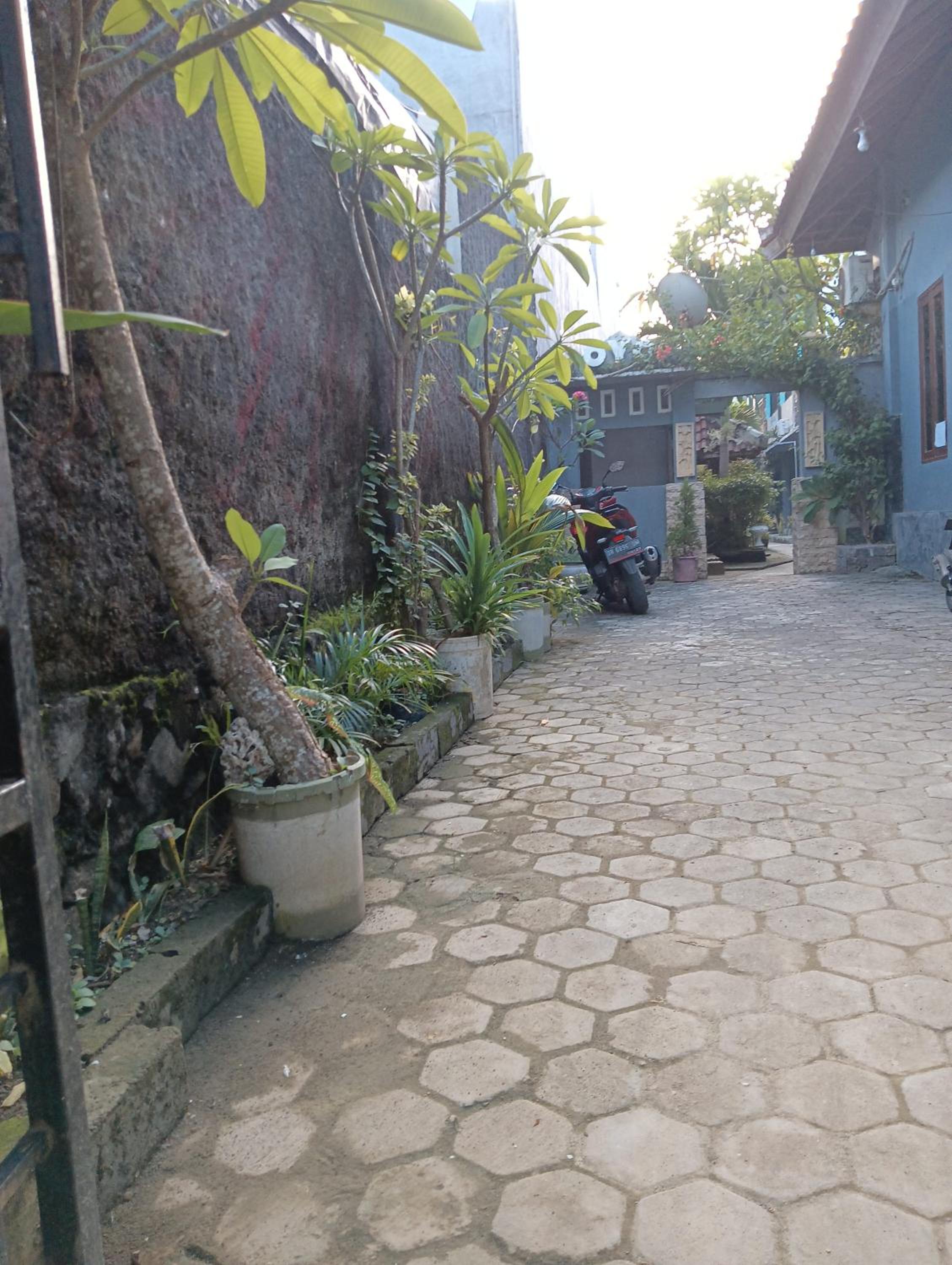 Ayu Homestay view 3