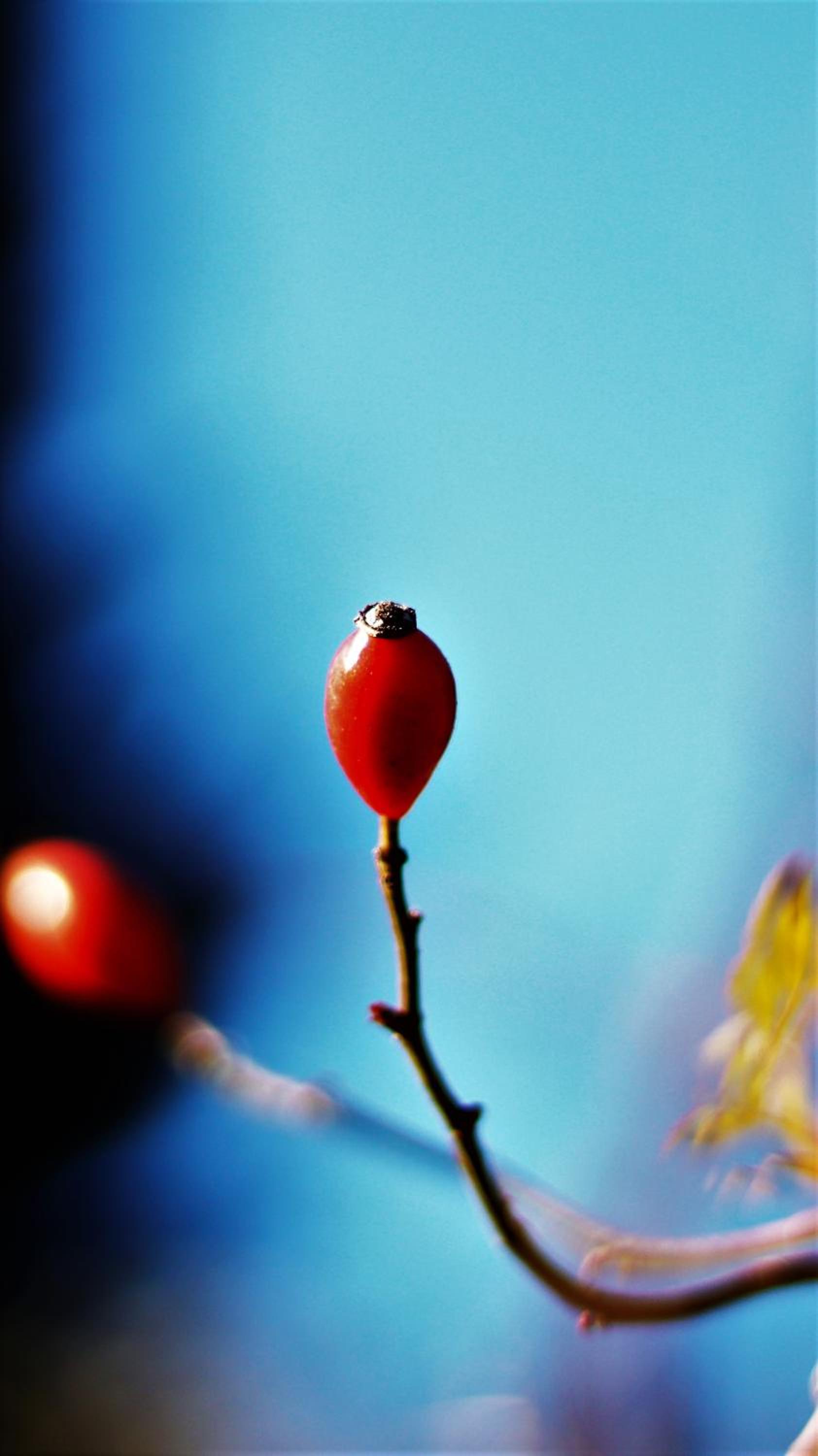 Photo 40