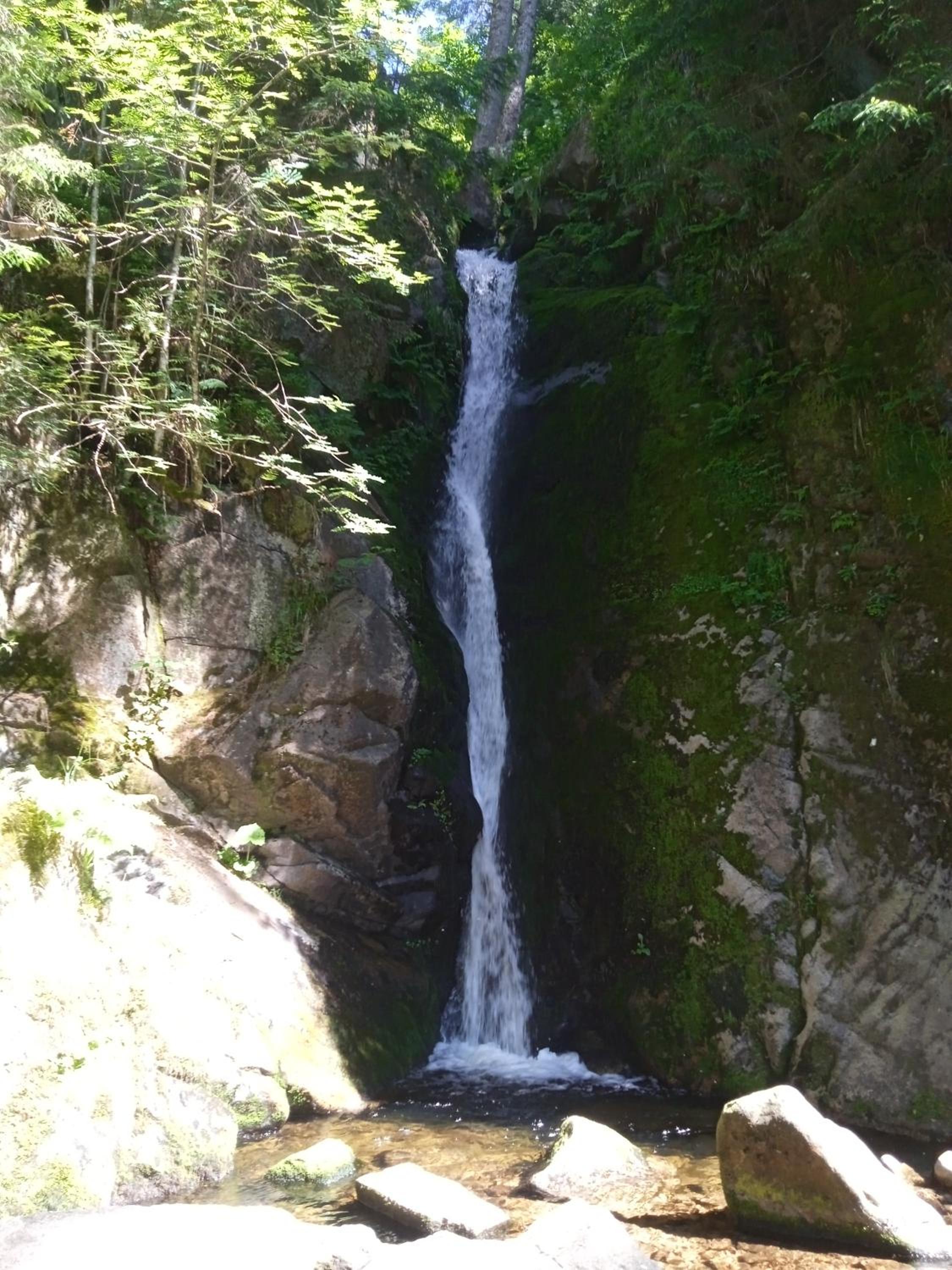 Photo 45