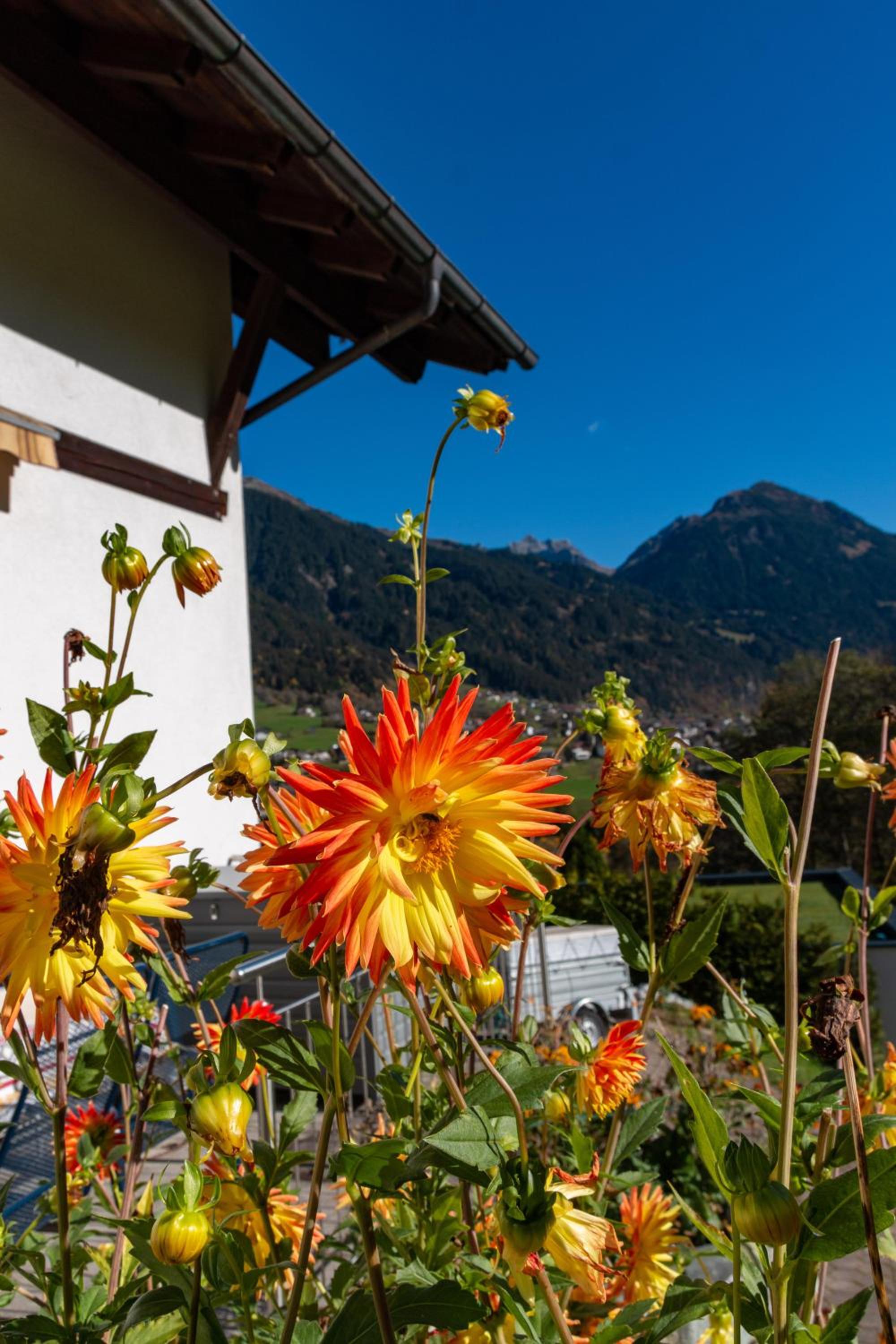 Appartement Heim
