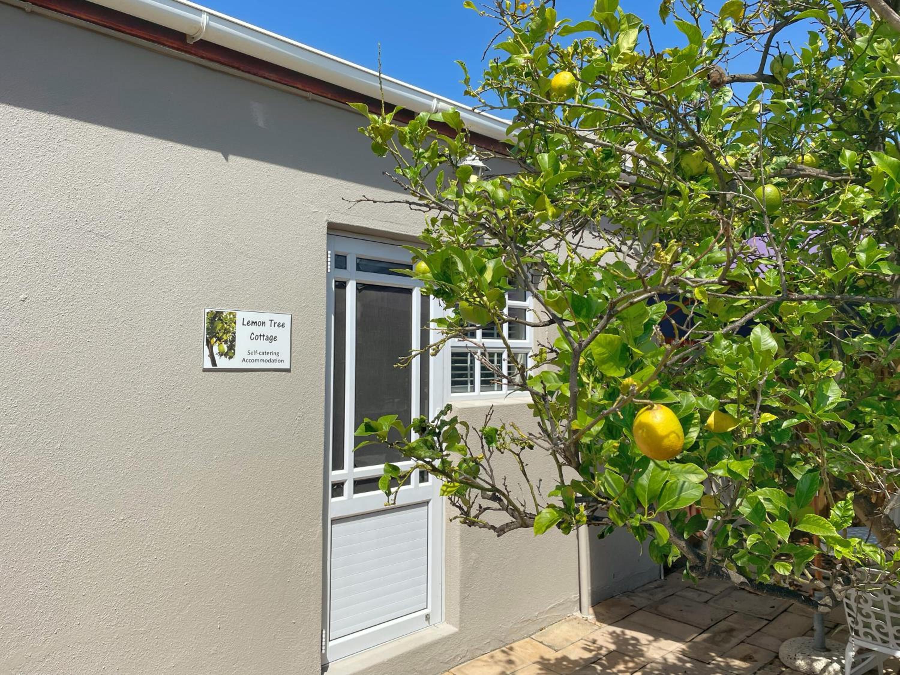 Lemon Tree Cottage view 5