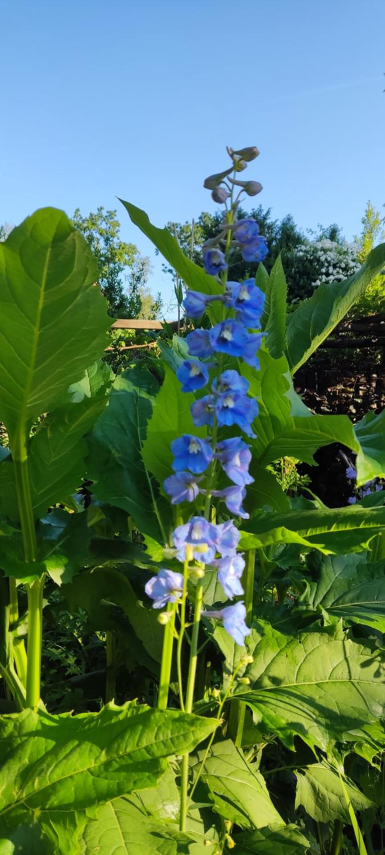 Overbosch - Property Image 9