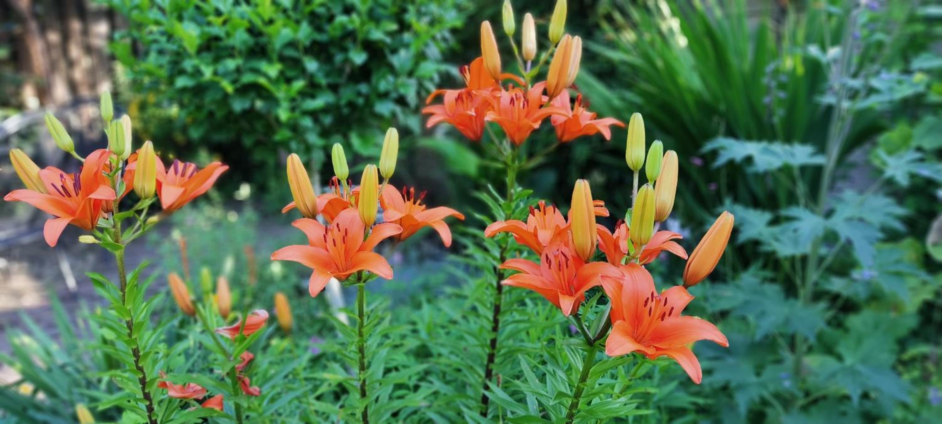 Overbosch - Property Image 8