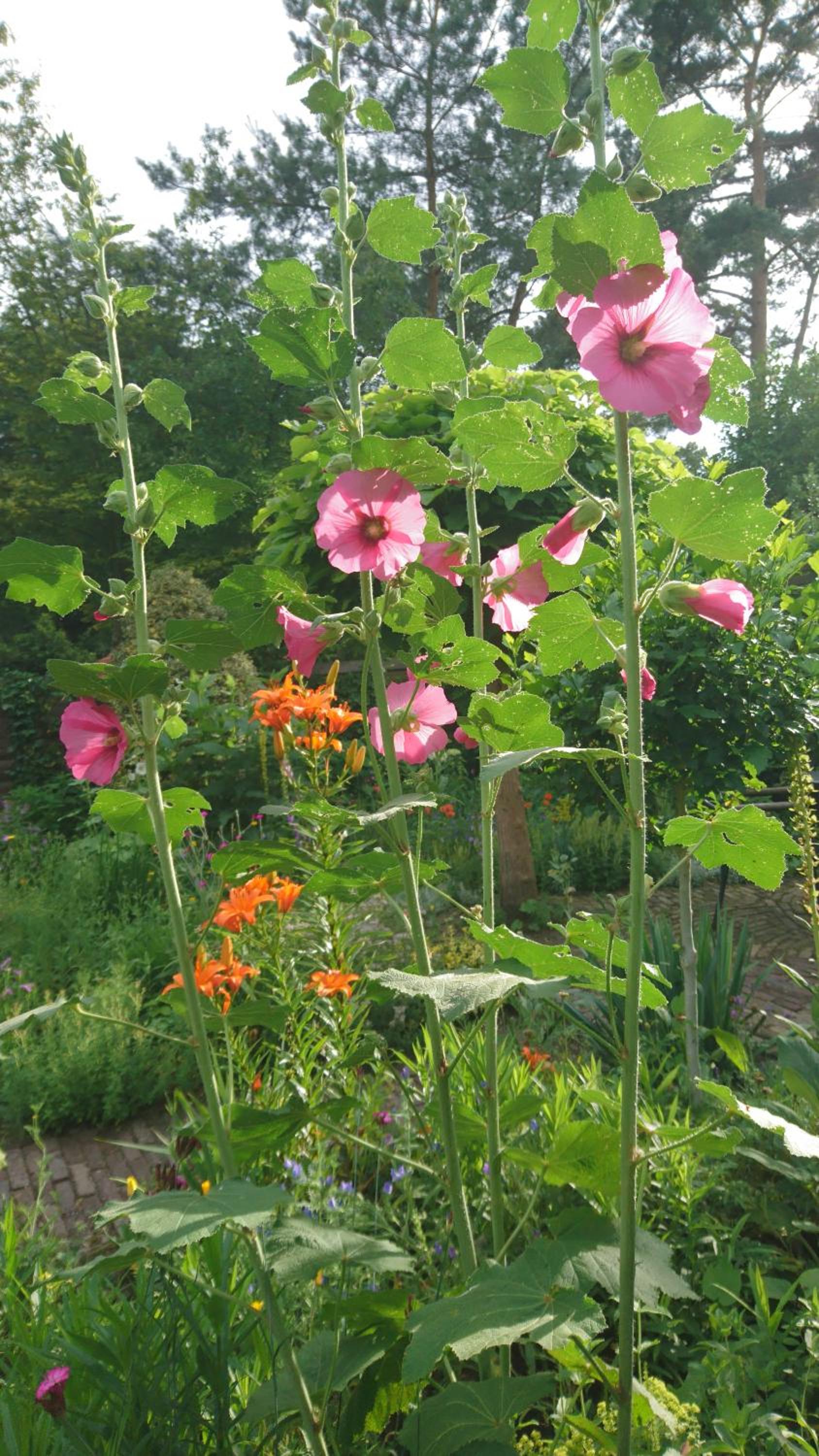 Overbosch - Property Image 7