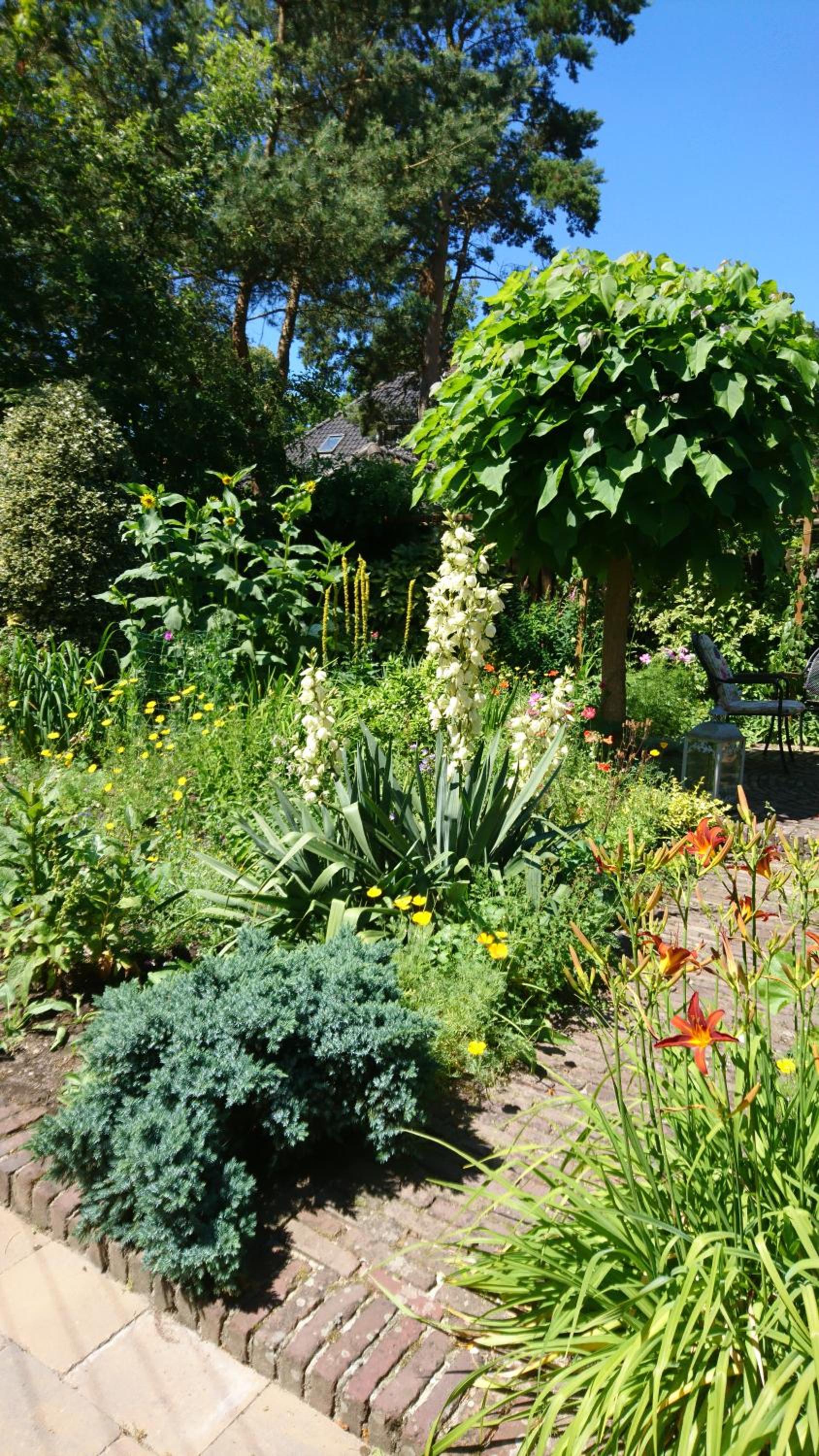 Overbosch - Property Image 6