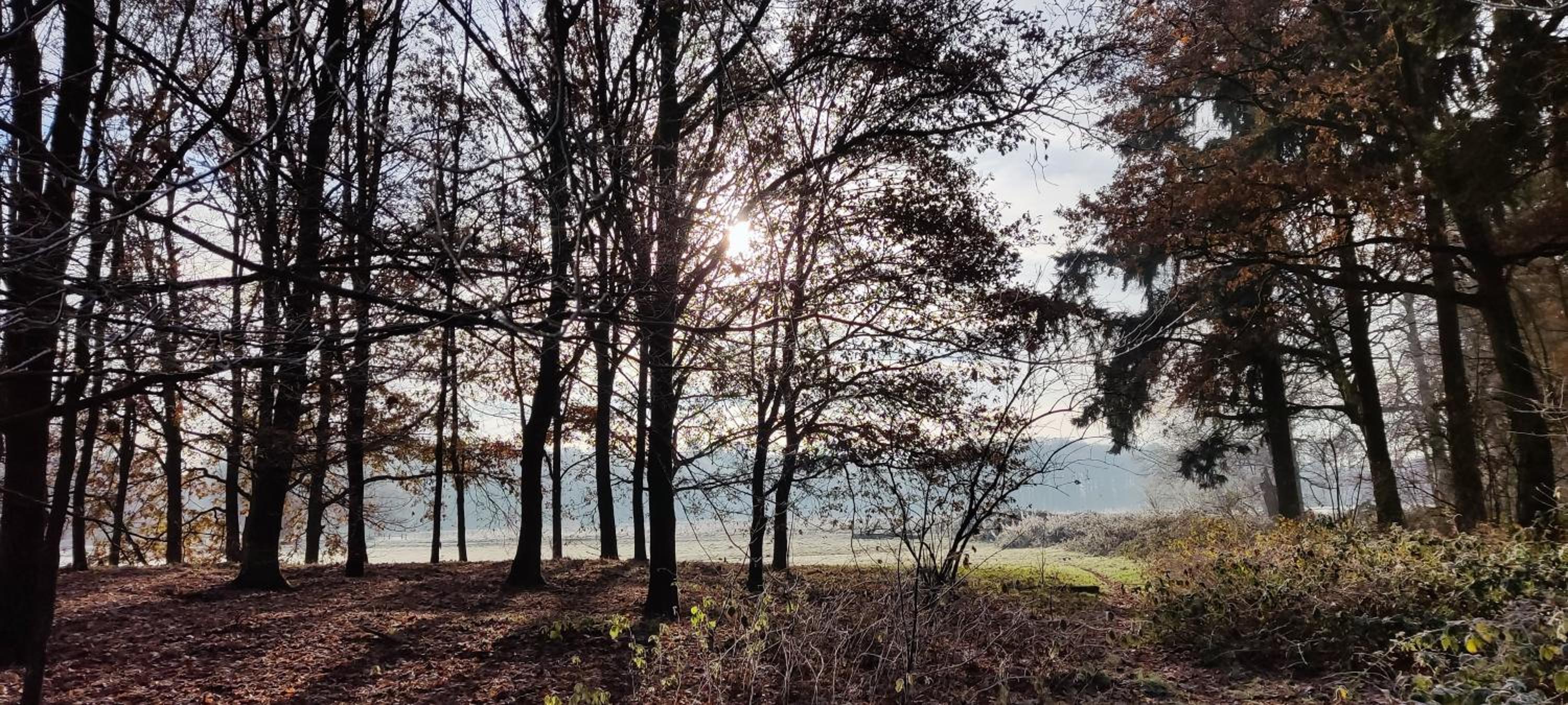 Overbosch - Property Image 3