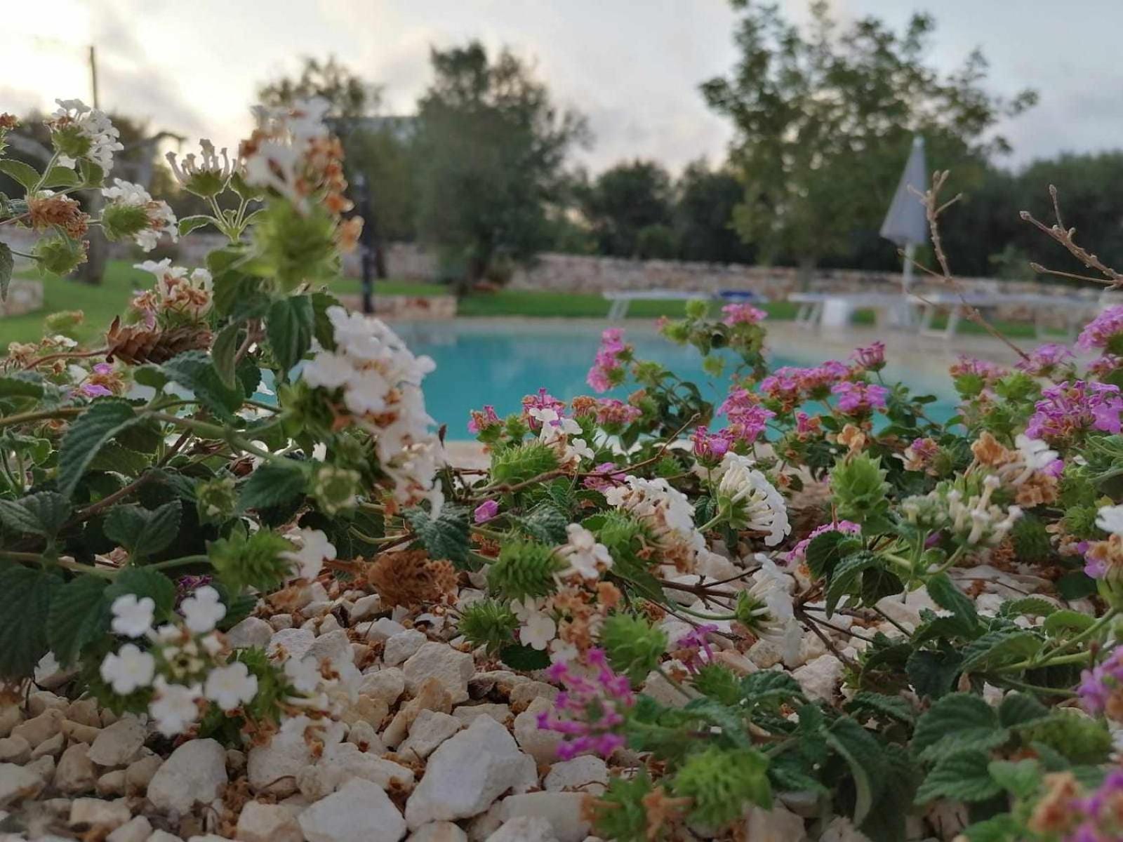 Casale dolina verde . photo 5