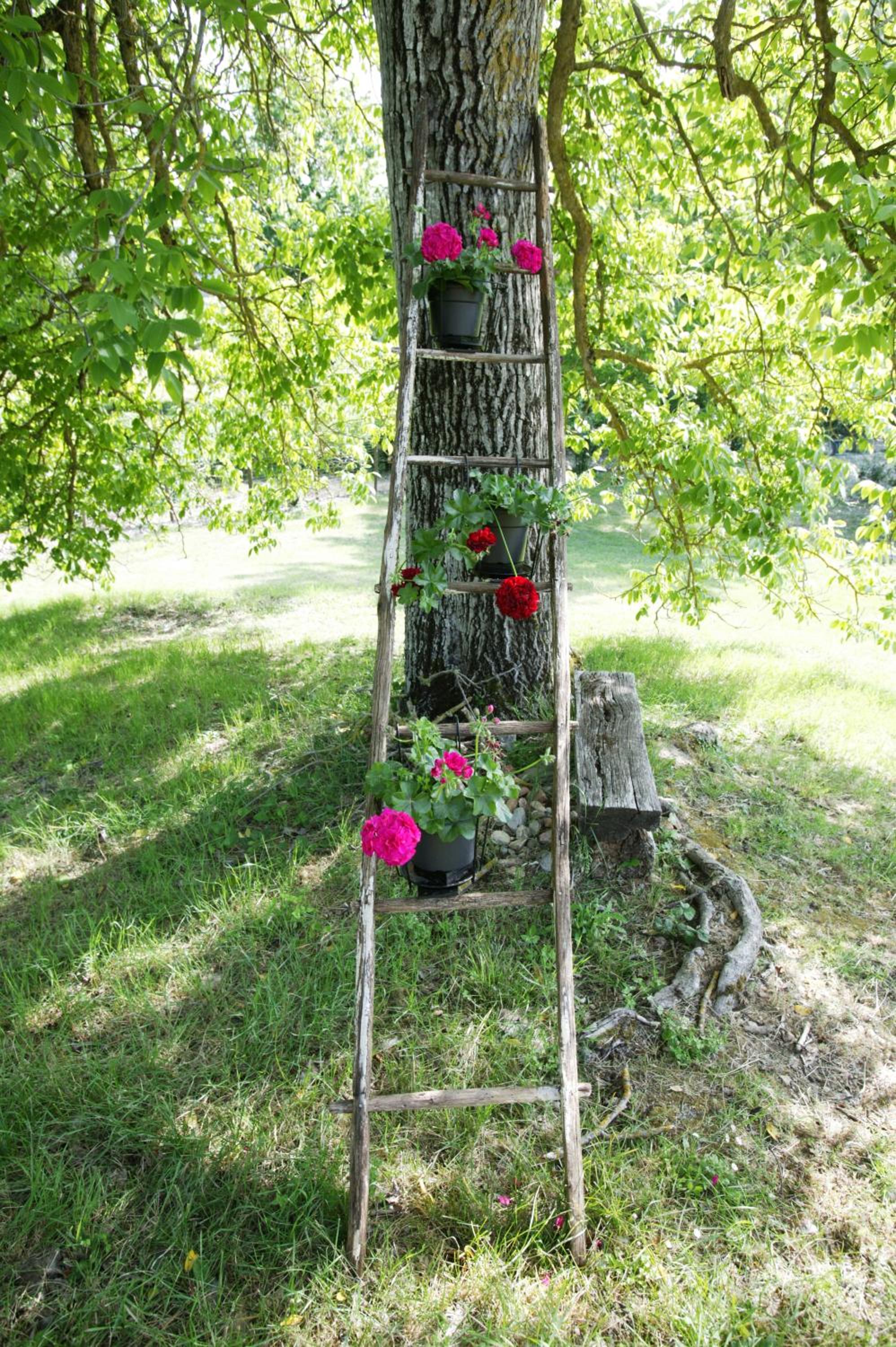 Casina Centeno photo 5