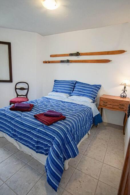 Cabaña Viva Patagonia